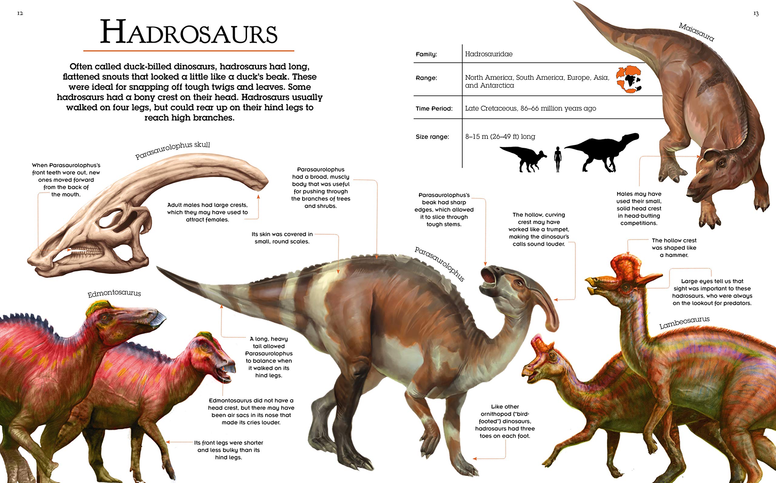ultimate book of dinosaurs - Ảnh 3