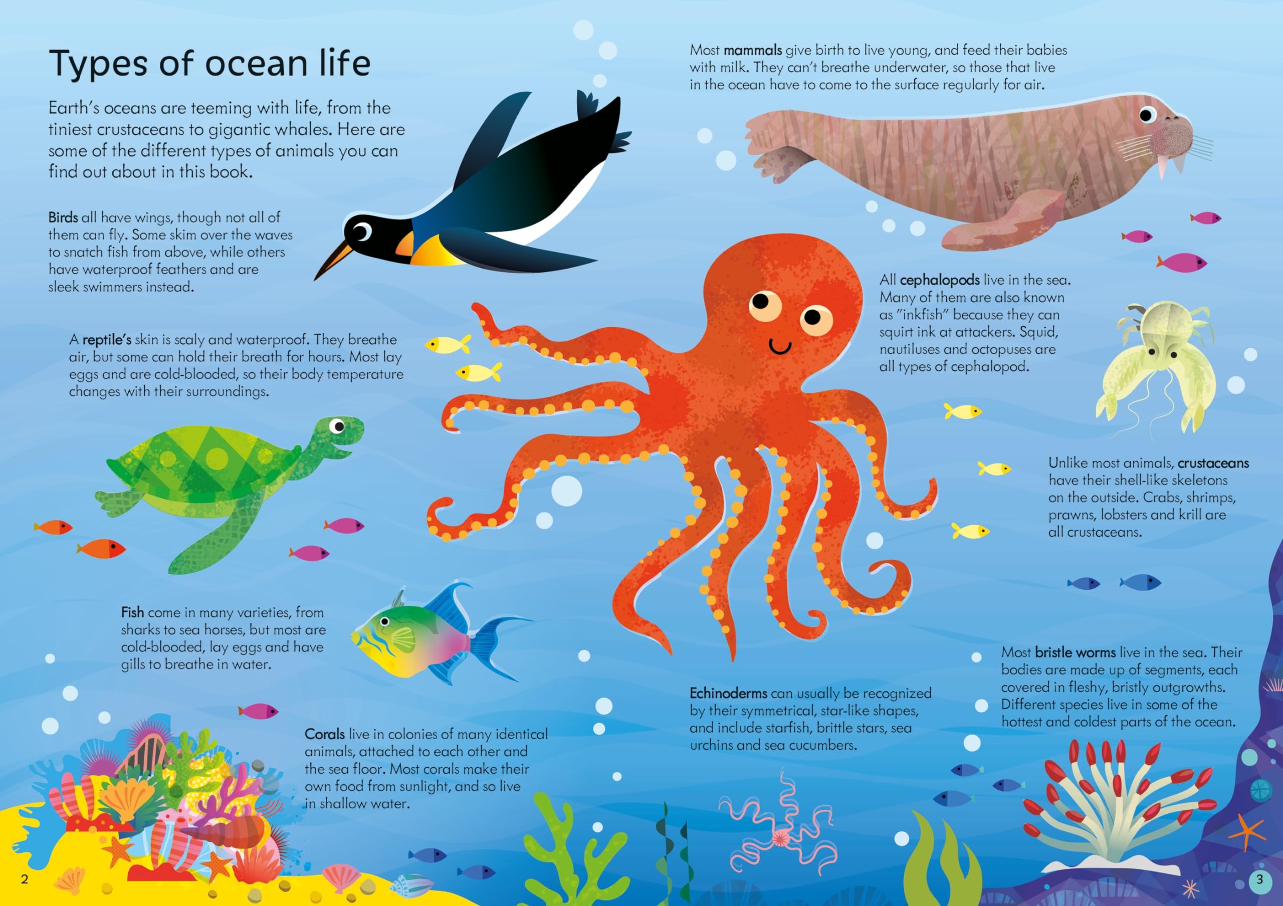 usborne book and jigsaw oceans - Ảnh 5