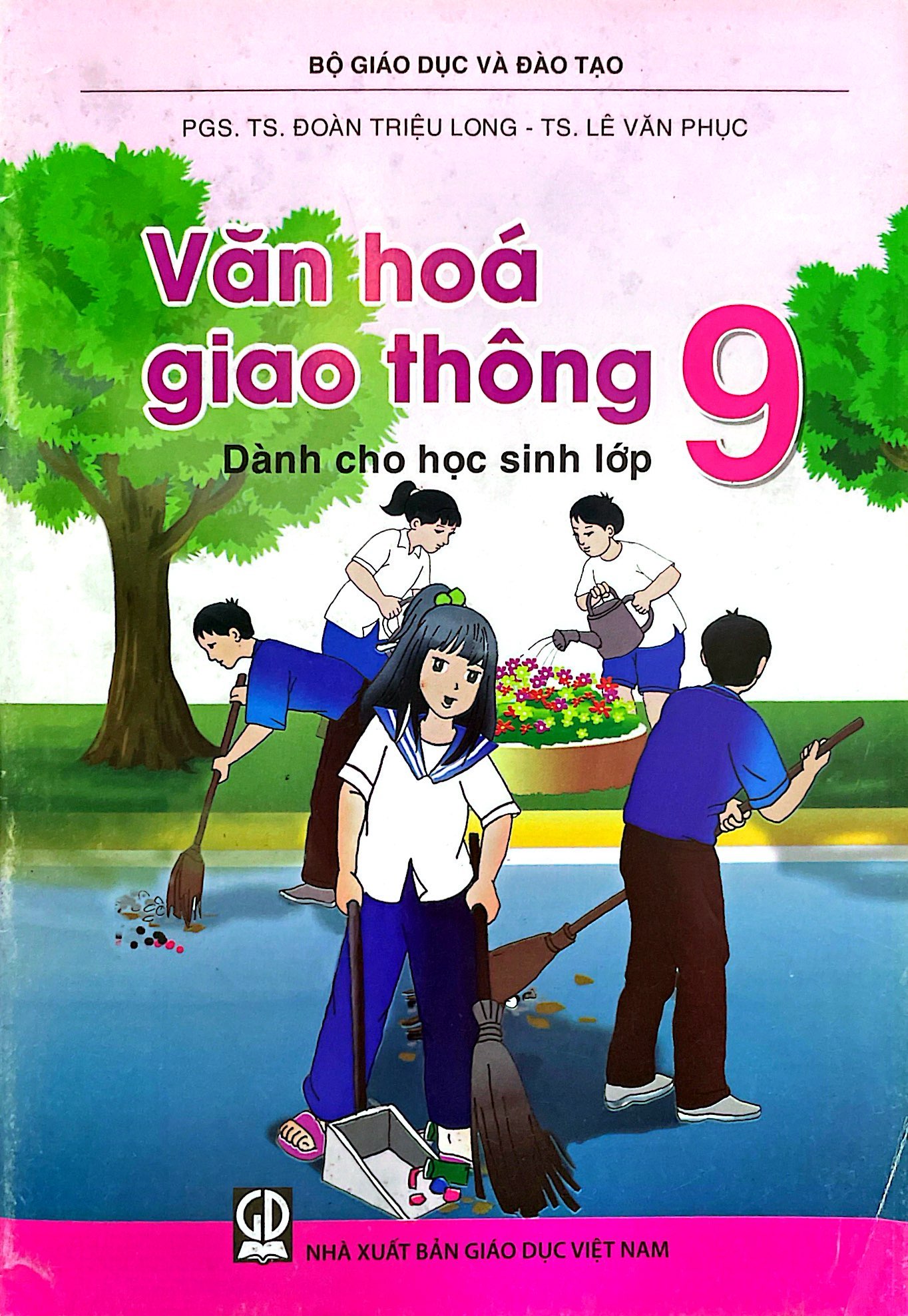 văn hóa giao thông lớp 9 (2018) - Ảnh 2