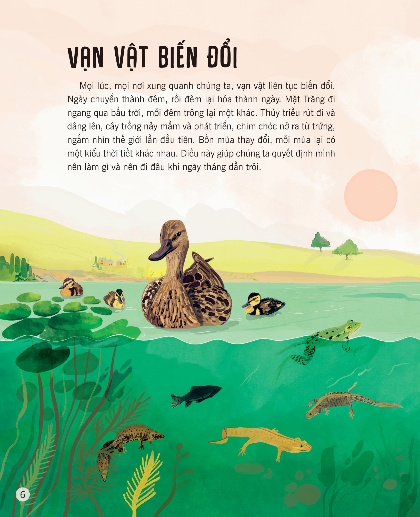 vạn vật biến đổi - Ảnh 4