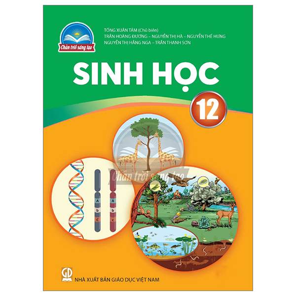 Vật Lí 12 (Chân Trời) (Chuẩn) - Ảnh 22