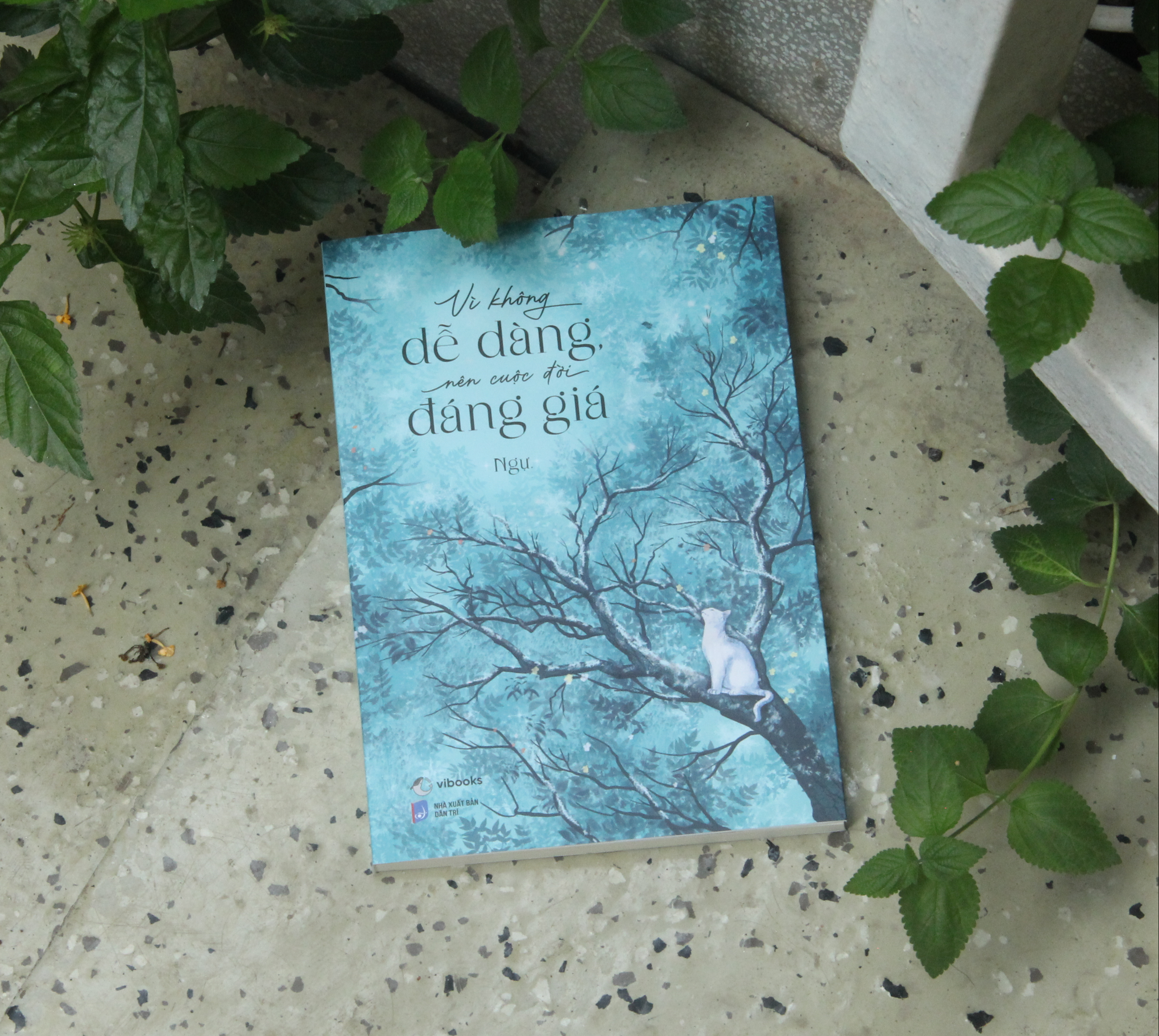 Vì Không Dễ Dàng Nên Cuộc Đời Đáng Giá - Ảnh 3