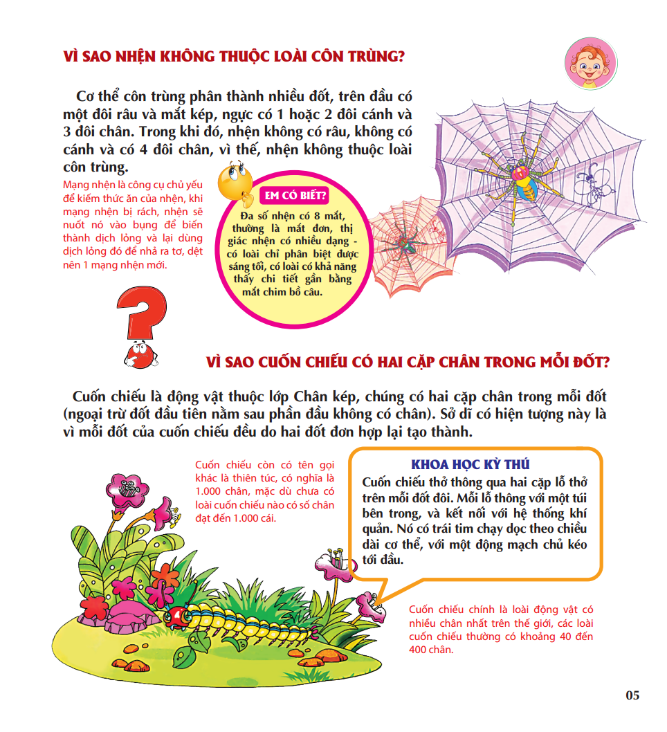 vì sao chim lại làm tổ - Ảnh 8