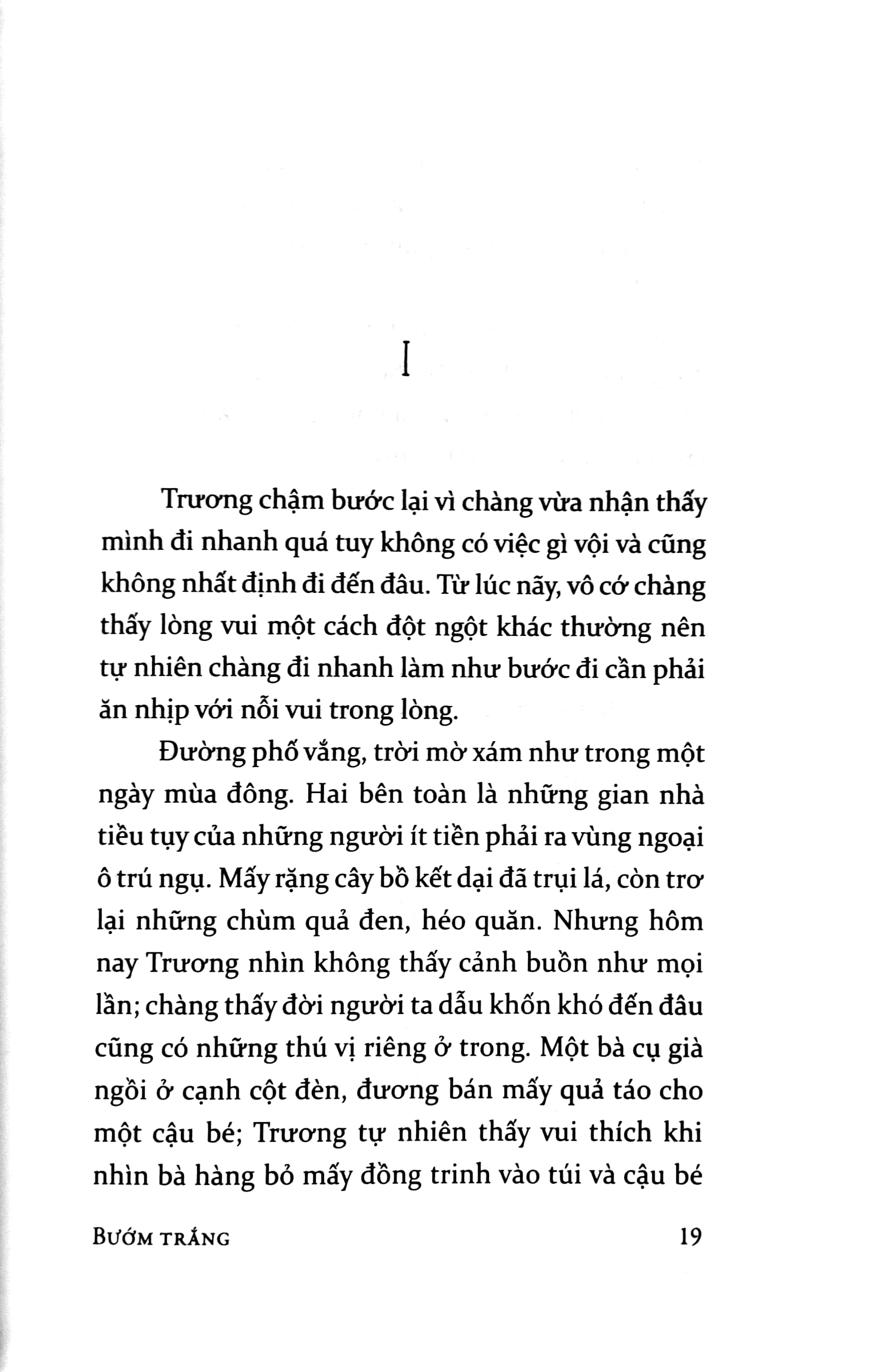 việt nam danh tác - bướm trắng - Ảnh 4