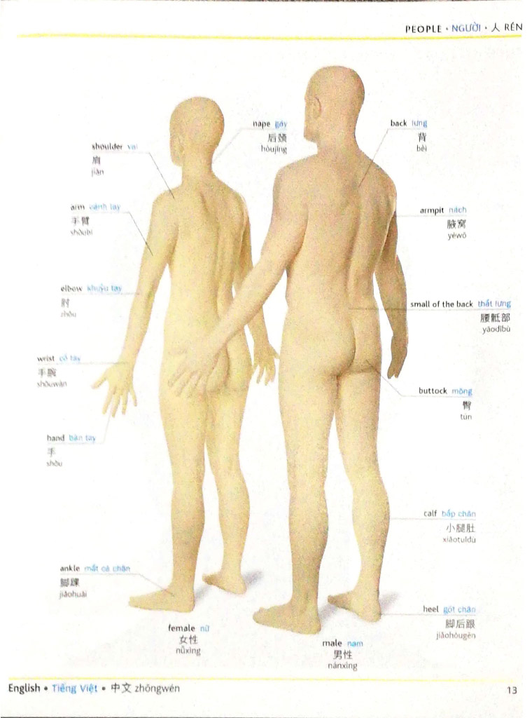 visual english vietnamese chinese trillingual dictinonary - Ảnh 4