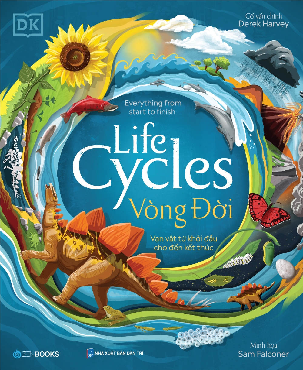 vòng đời - life cycles - Ảnh 2