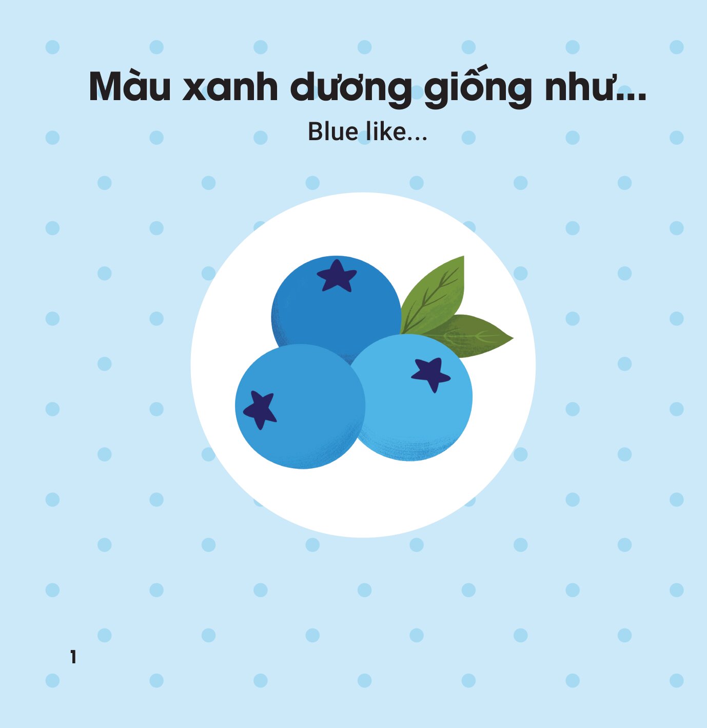 Vòng Xoay Khám Phá - Màu Sắc - Colours - Ảnh 2