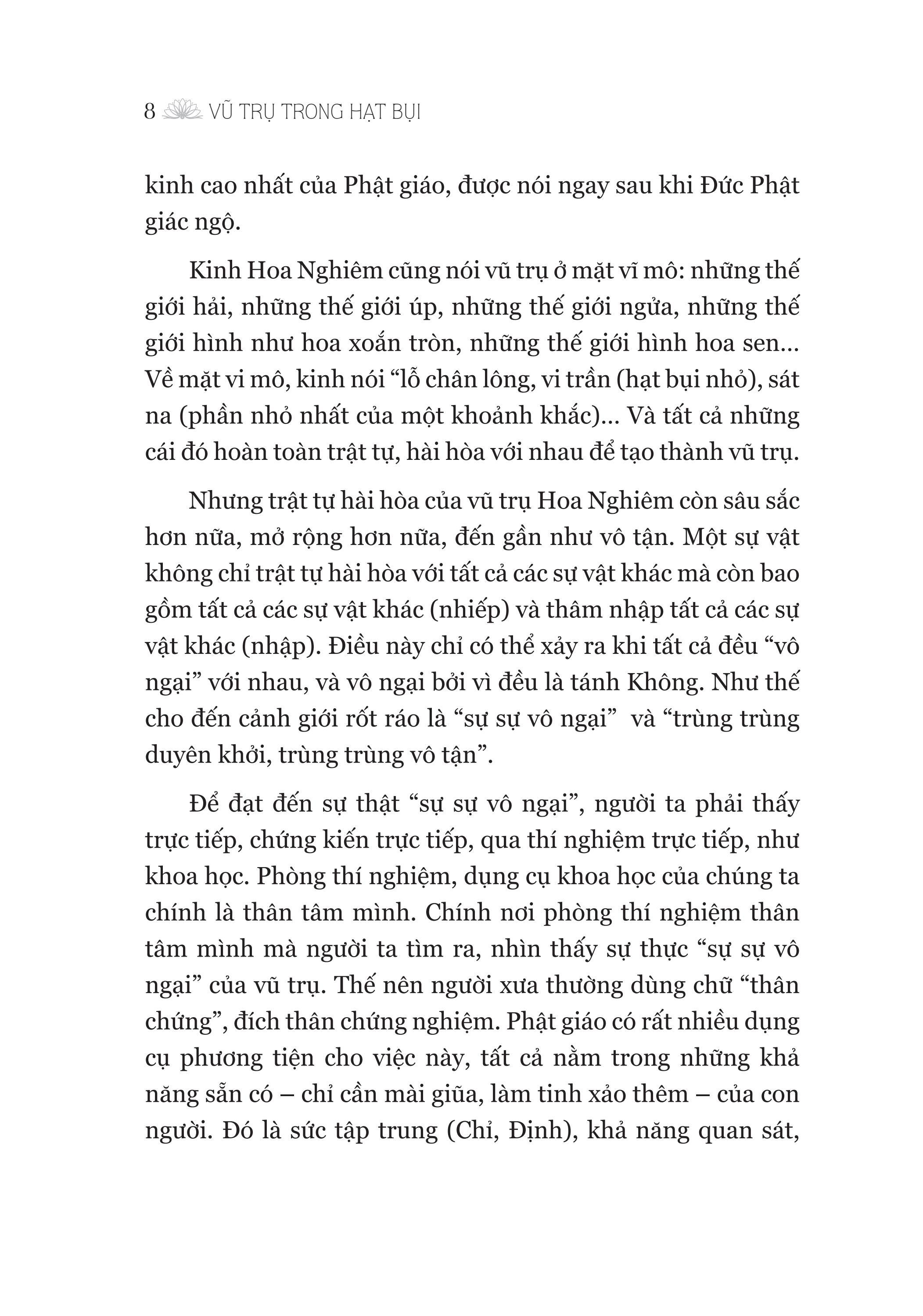 vũ trụ trong hạt bụi - đi vào kinh hoa nghiêm - Ảnh 9