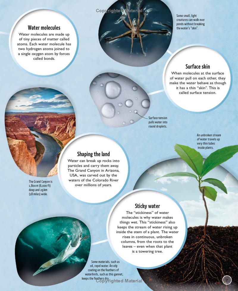 water cycles - Ảnh 11