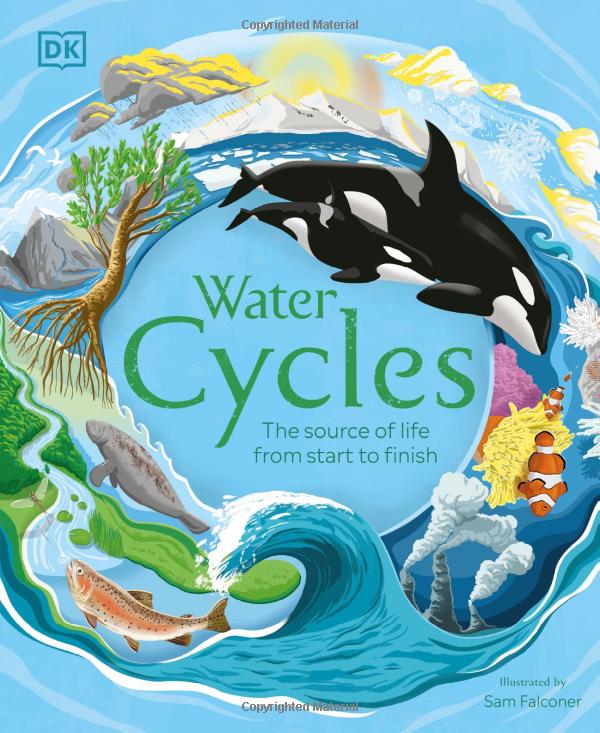 water cycles - Ảnh 3