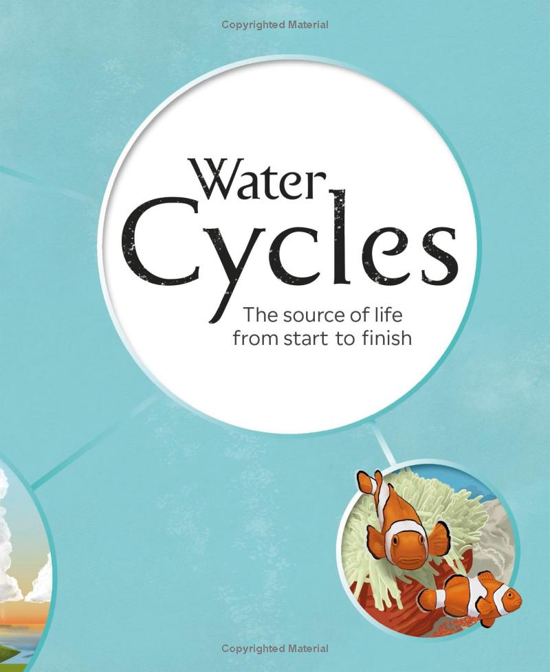 water cycles - Ảnh 7