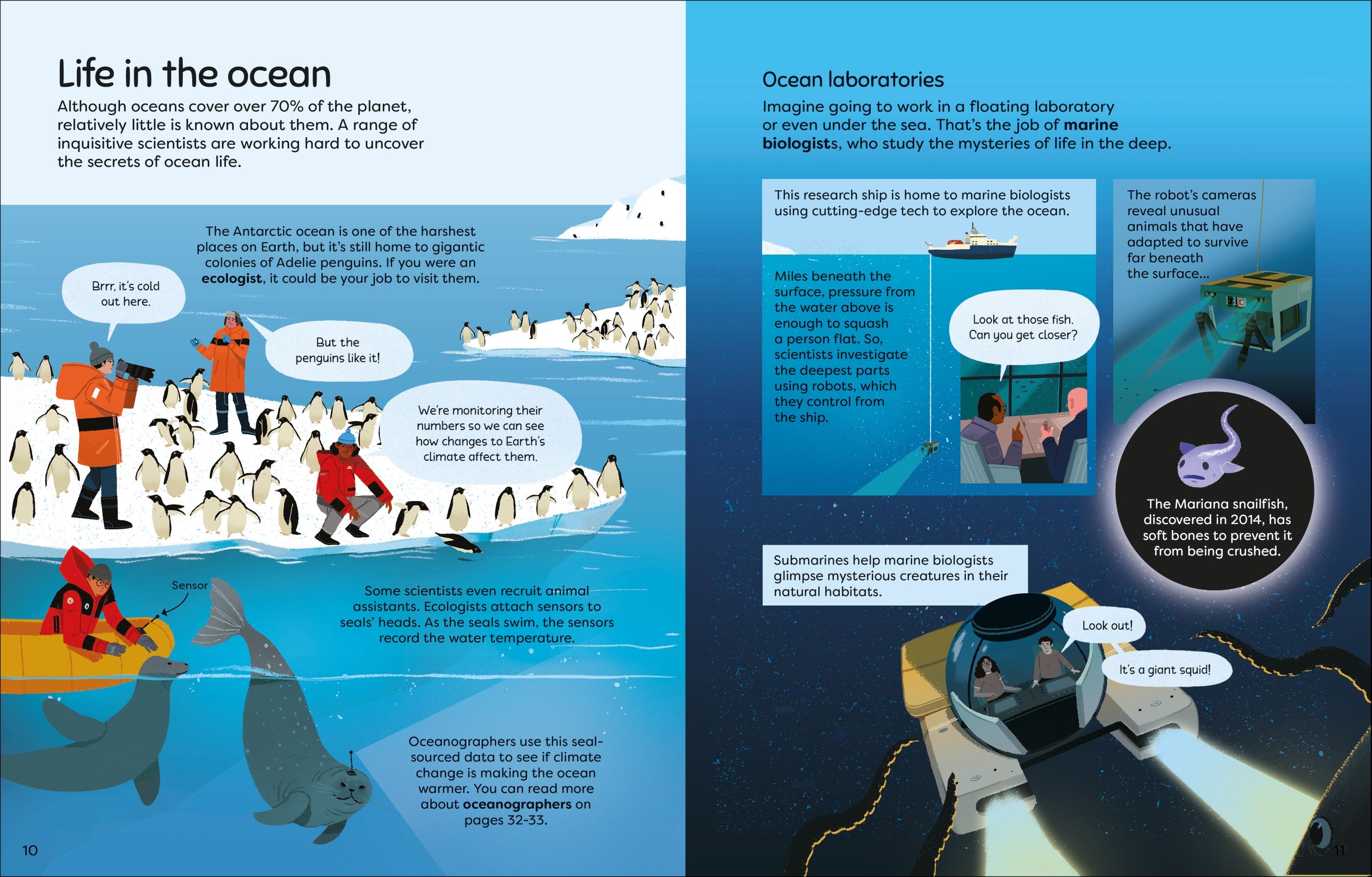 what do scientists do? - Ảnh 5