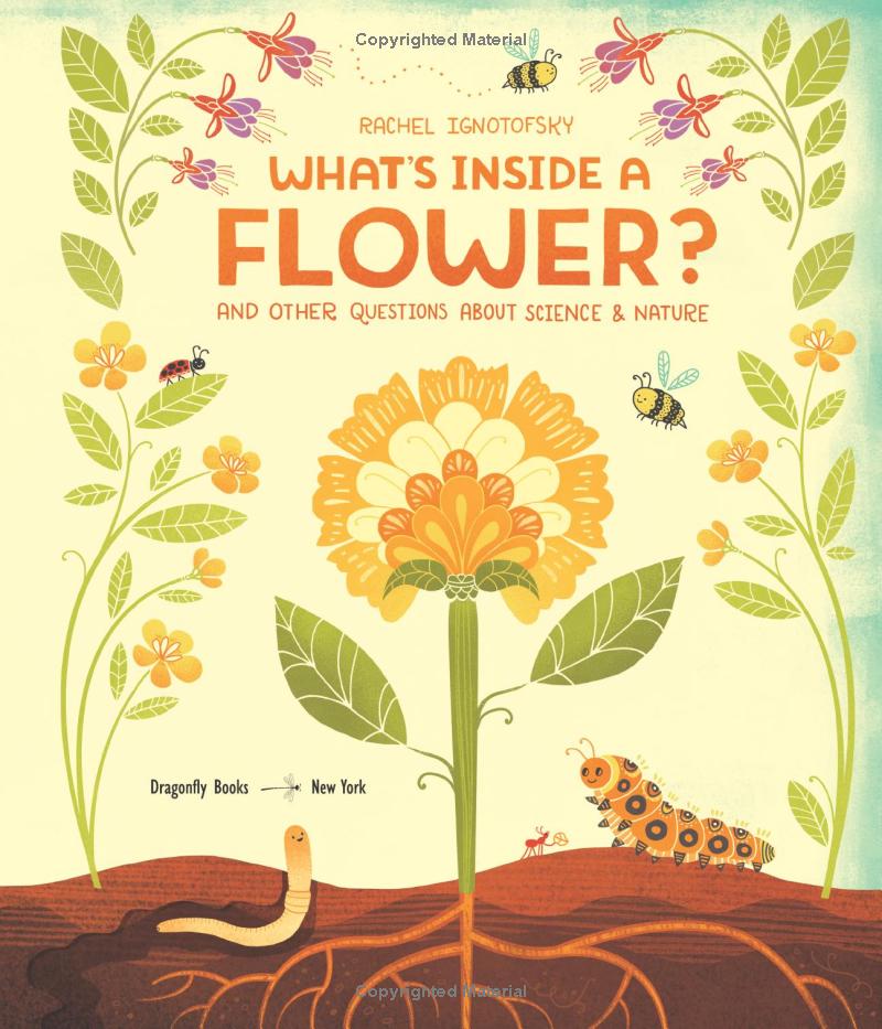 what's inside a flower? - Ảnh 5