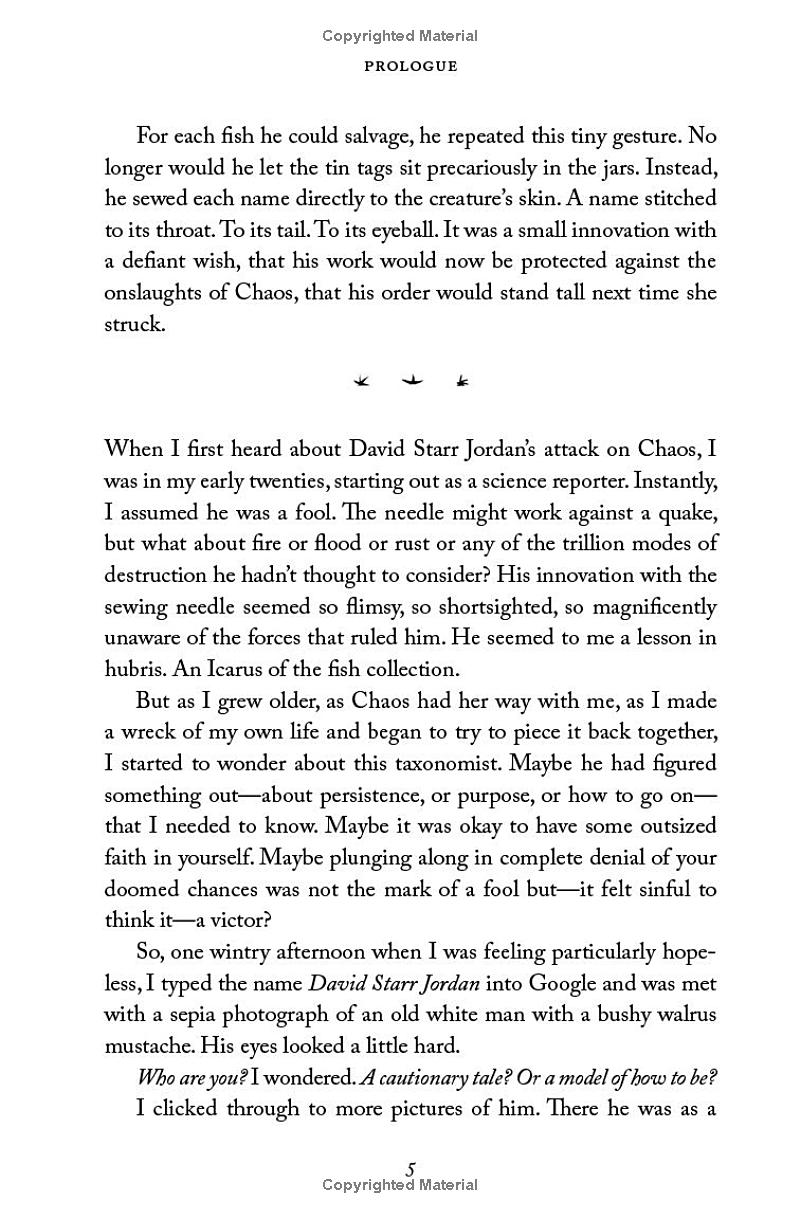 why fish don't exist: a story of loss, love, and the hidden order of life - Ảnh 9