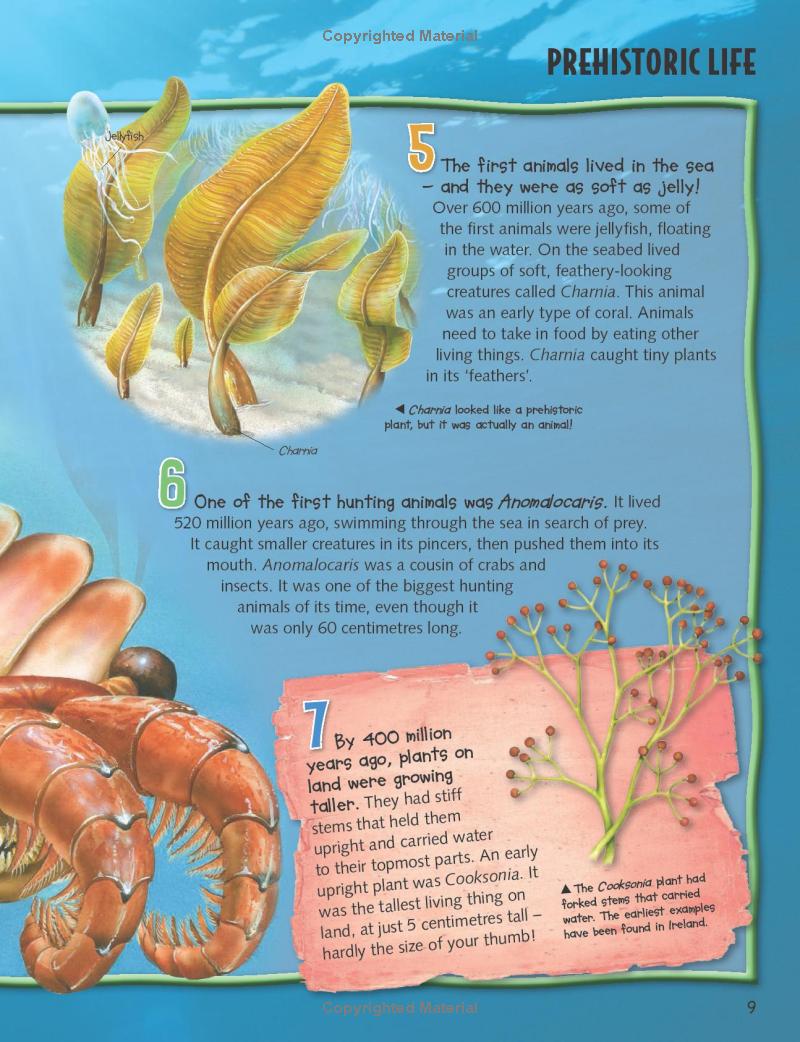 wild about dinosaurs - Ảnh 11