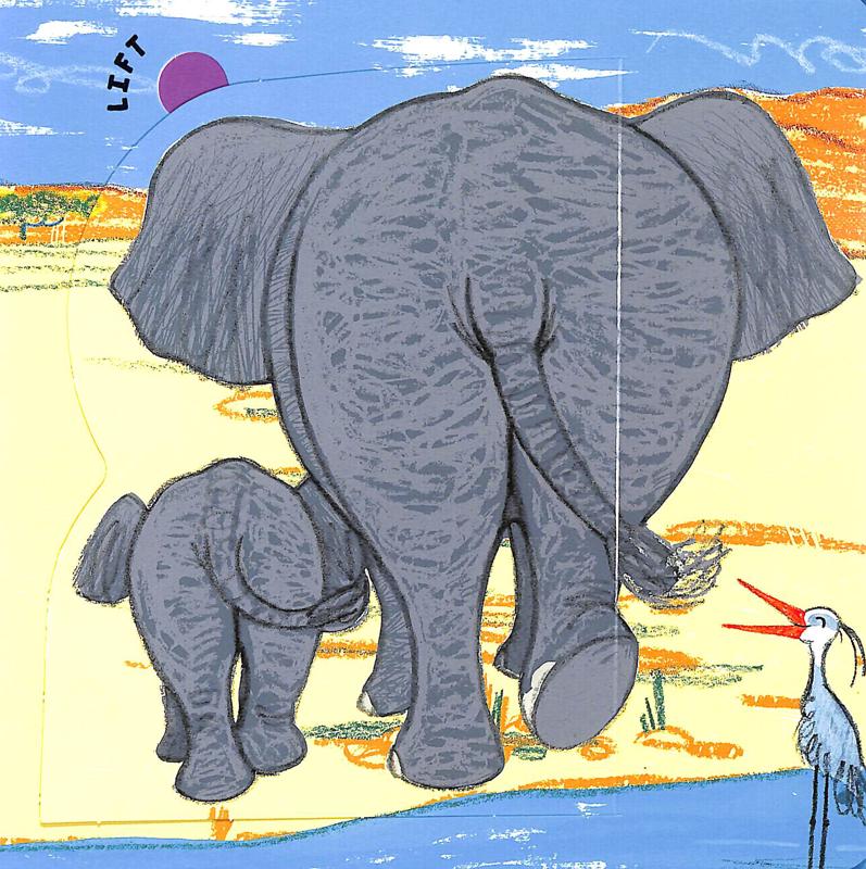 wild bottoms: a lift-the-flap book - Ảnh 4