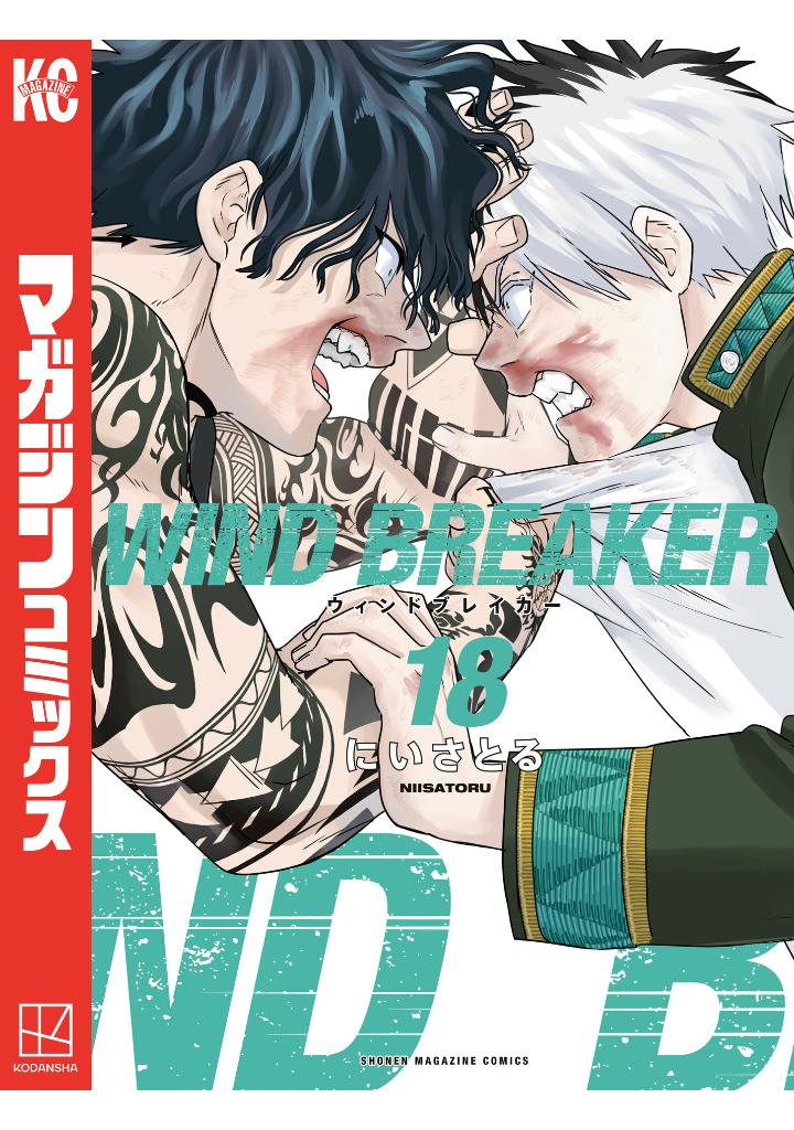 wind breaker 18 - Ảnh 2
