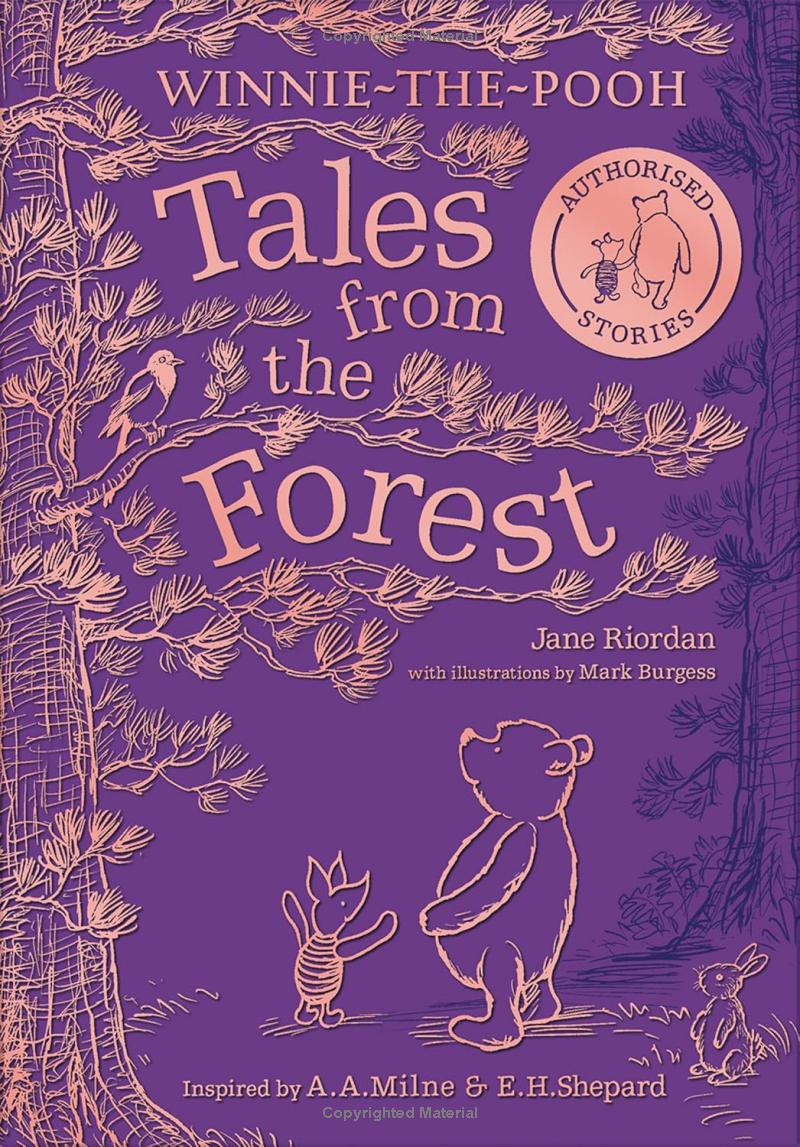 winnie-the-pooh - tales from the forest - Ảnh 3
