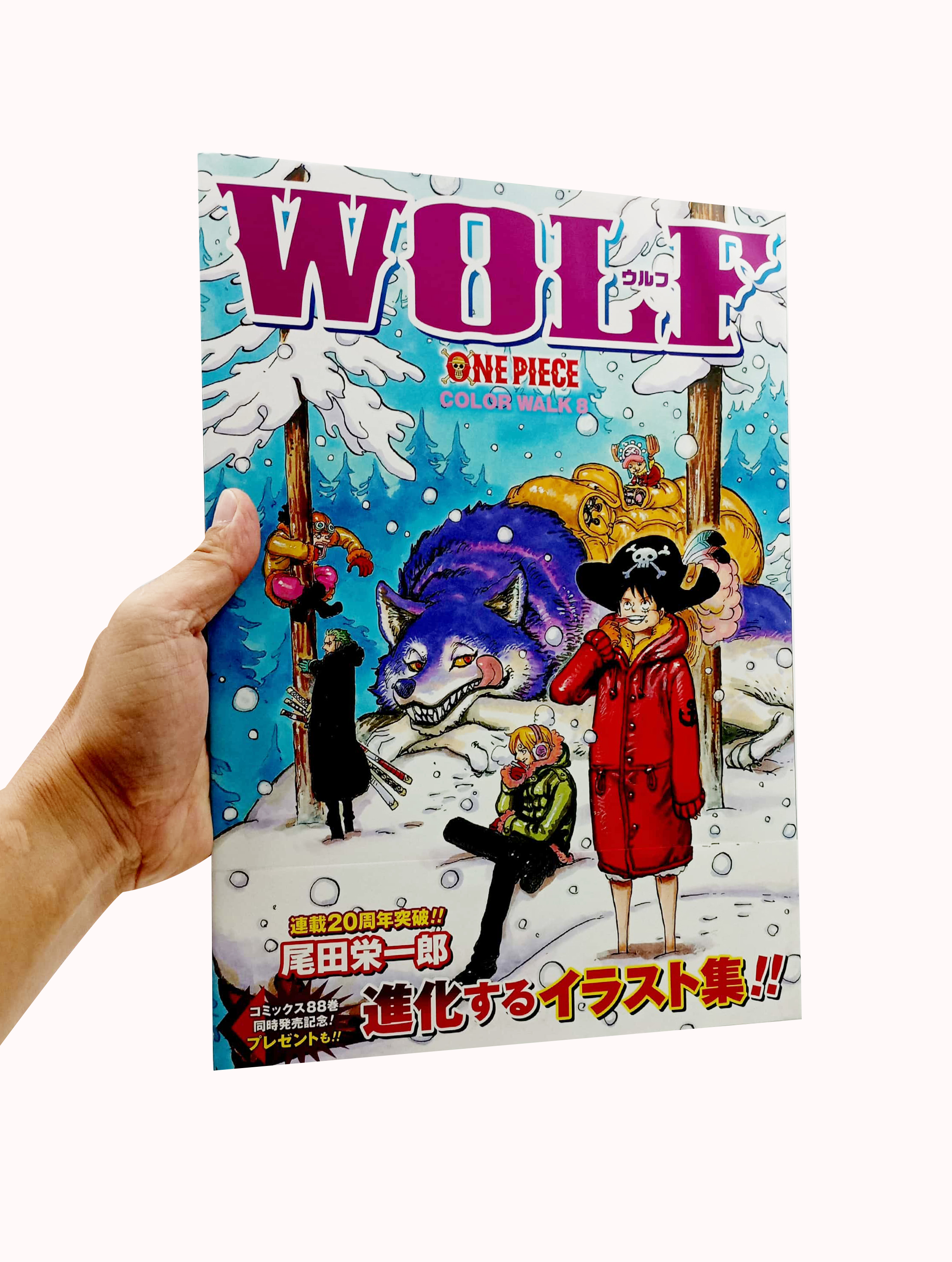 wolf color walk 8 - Ảnh 7