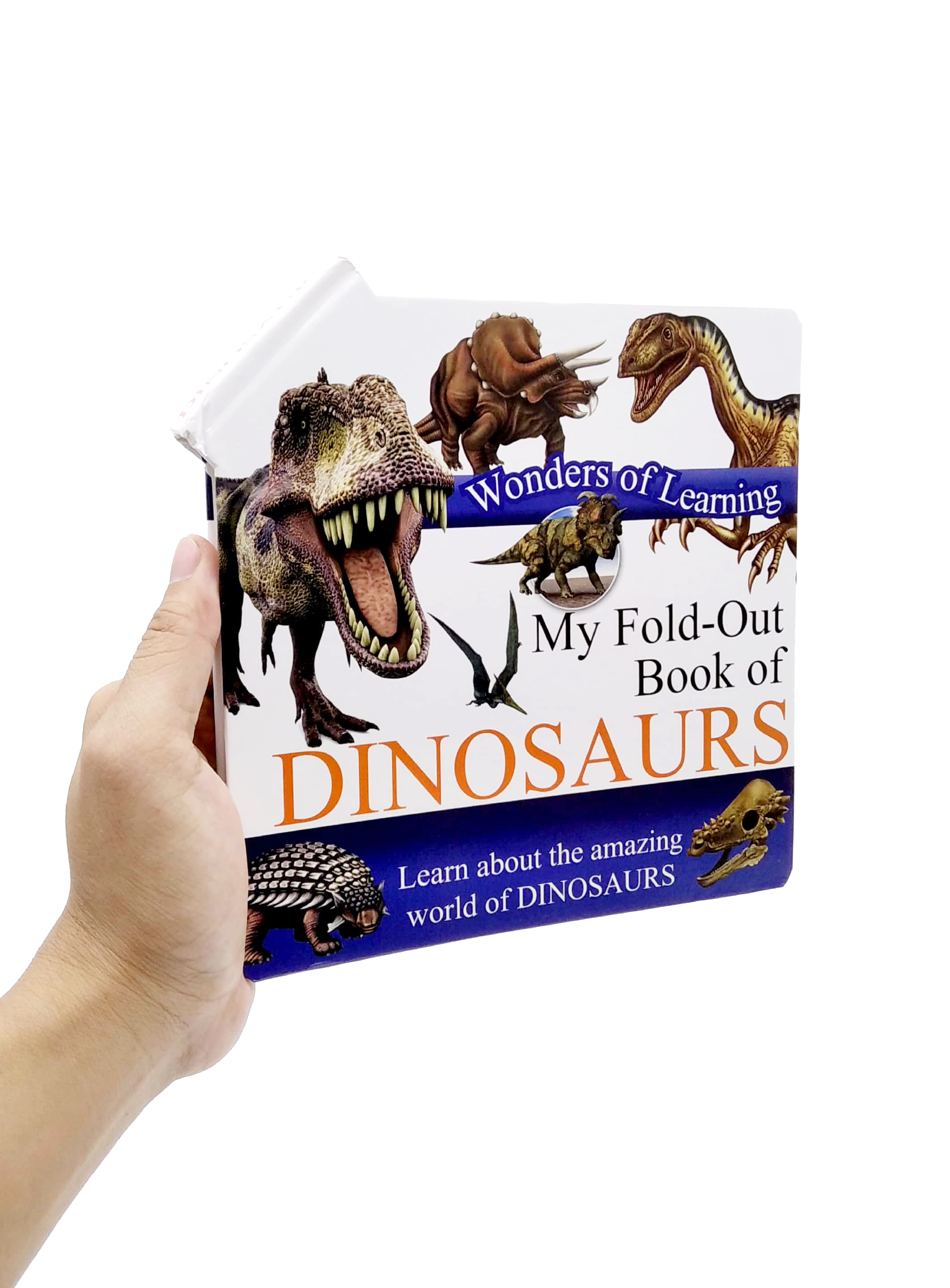 wonder of learning - my fold-out book of dinosaurs - Ảnh 7