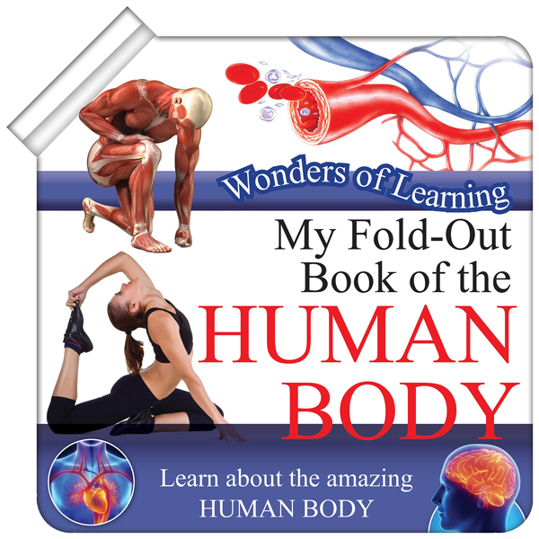 wonder of learning - my fold-out book of the human body