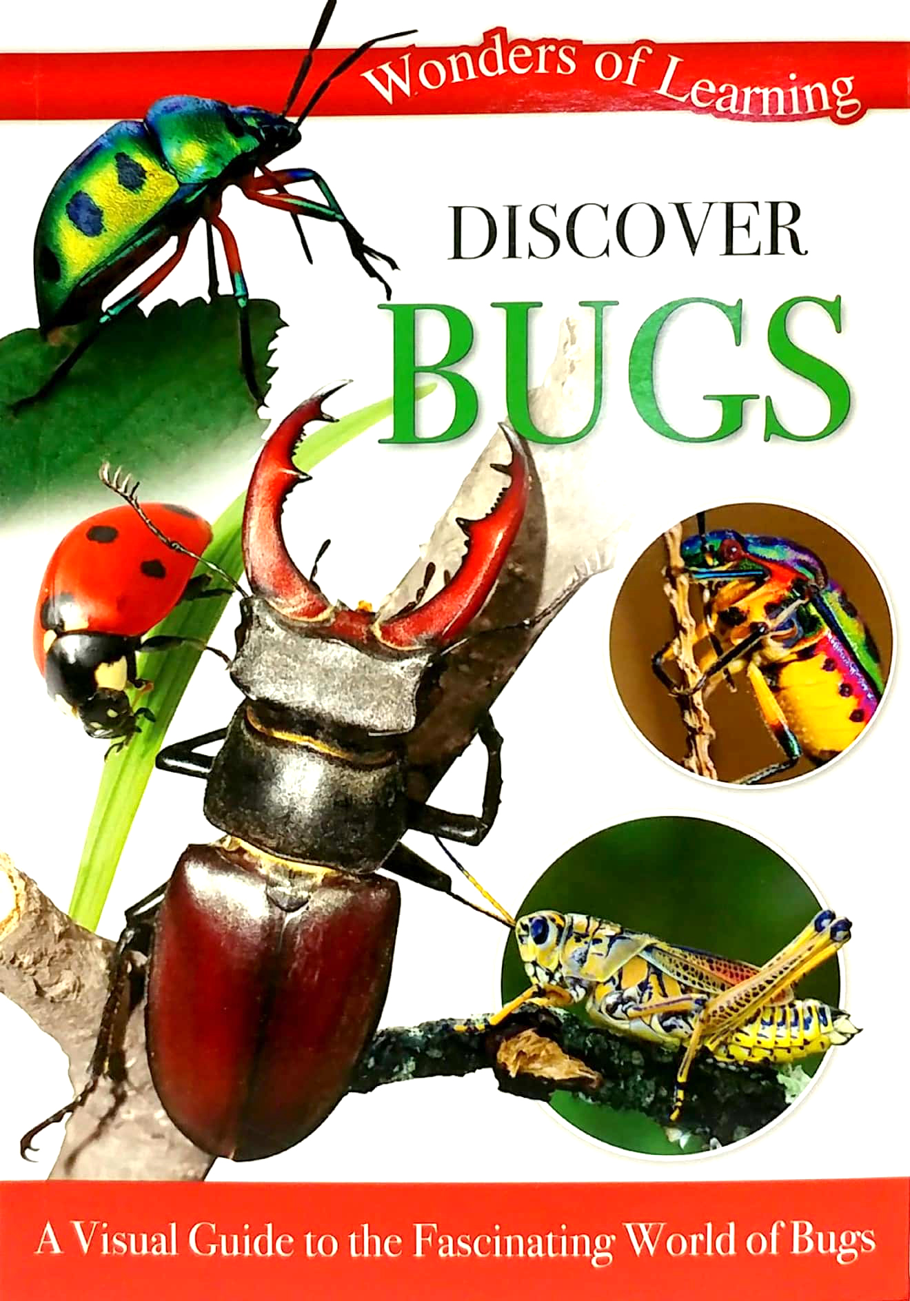 wonders of learning: discover bugs educational tin set - Ảnh 12