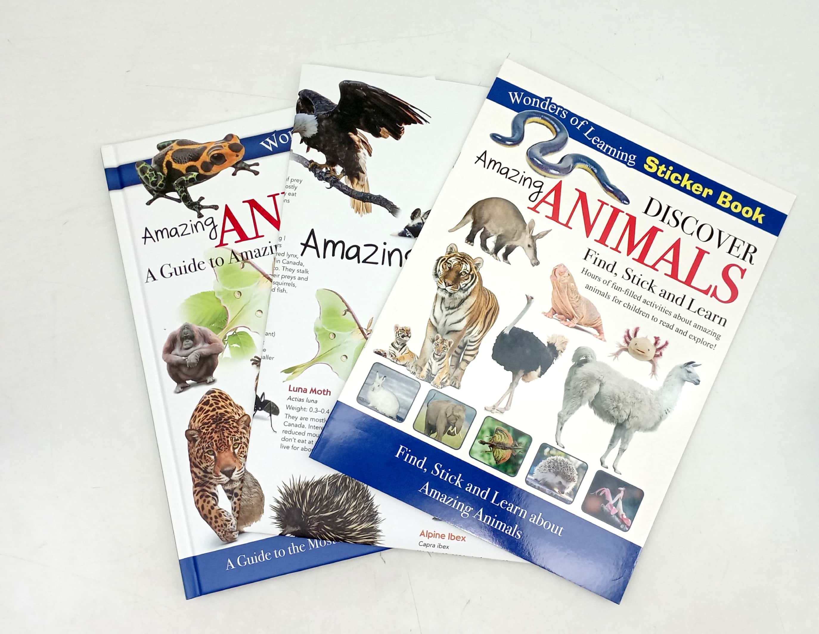wonders of learning - educational box set - amazing animals - Ảnh 11
