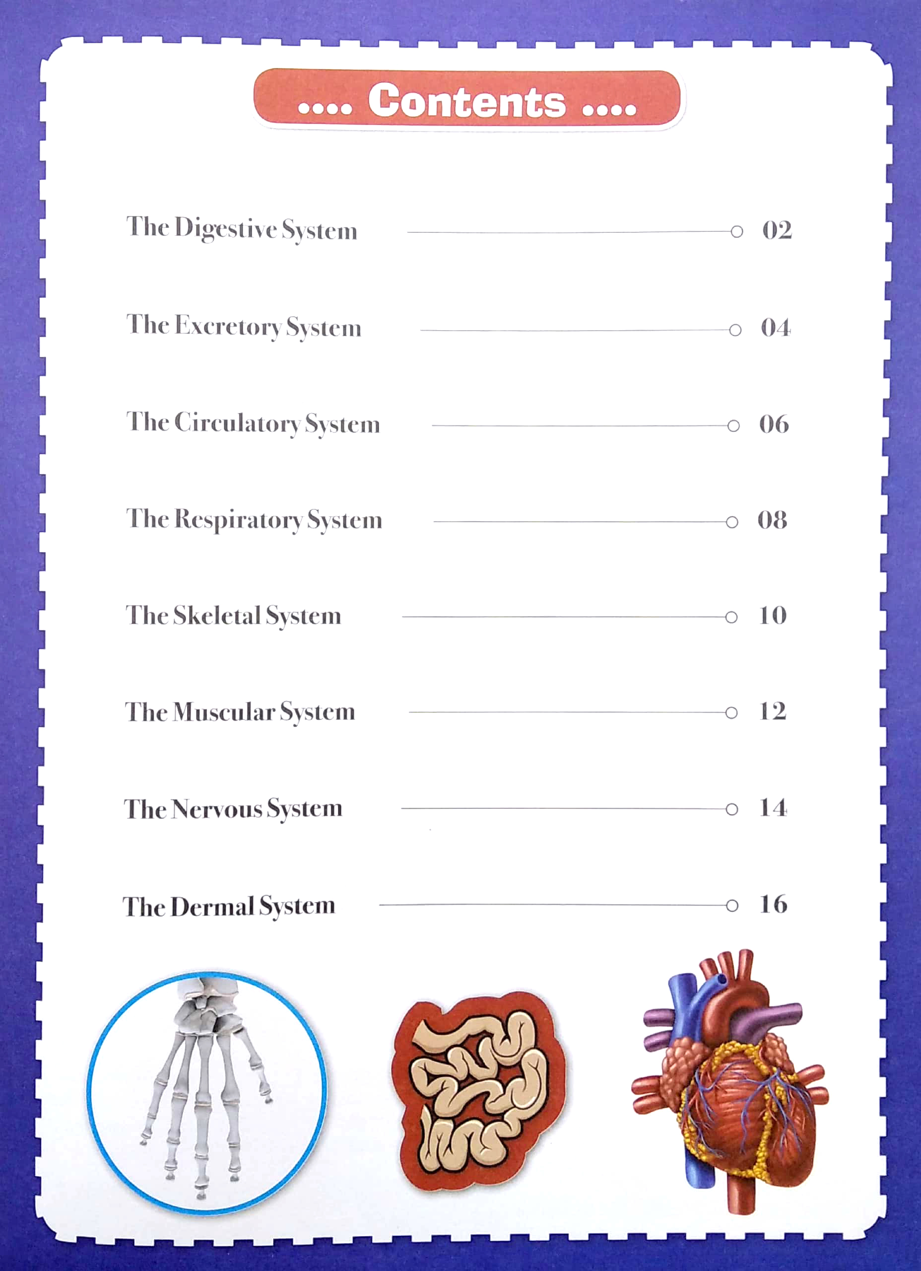 wonders of learning - sticker book - human body - Ảnh 3