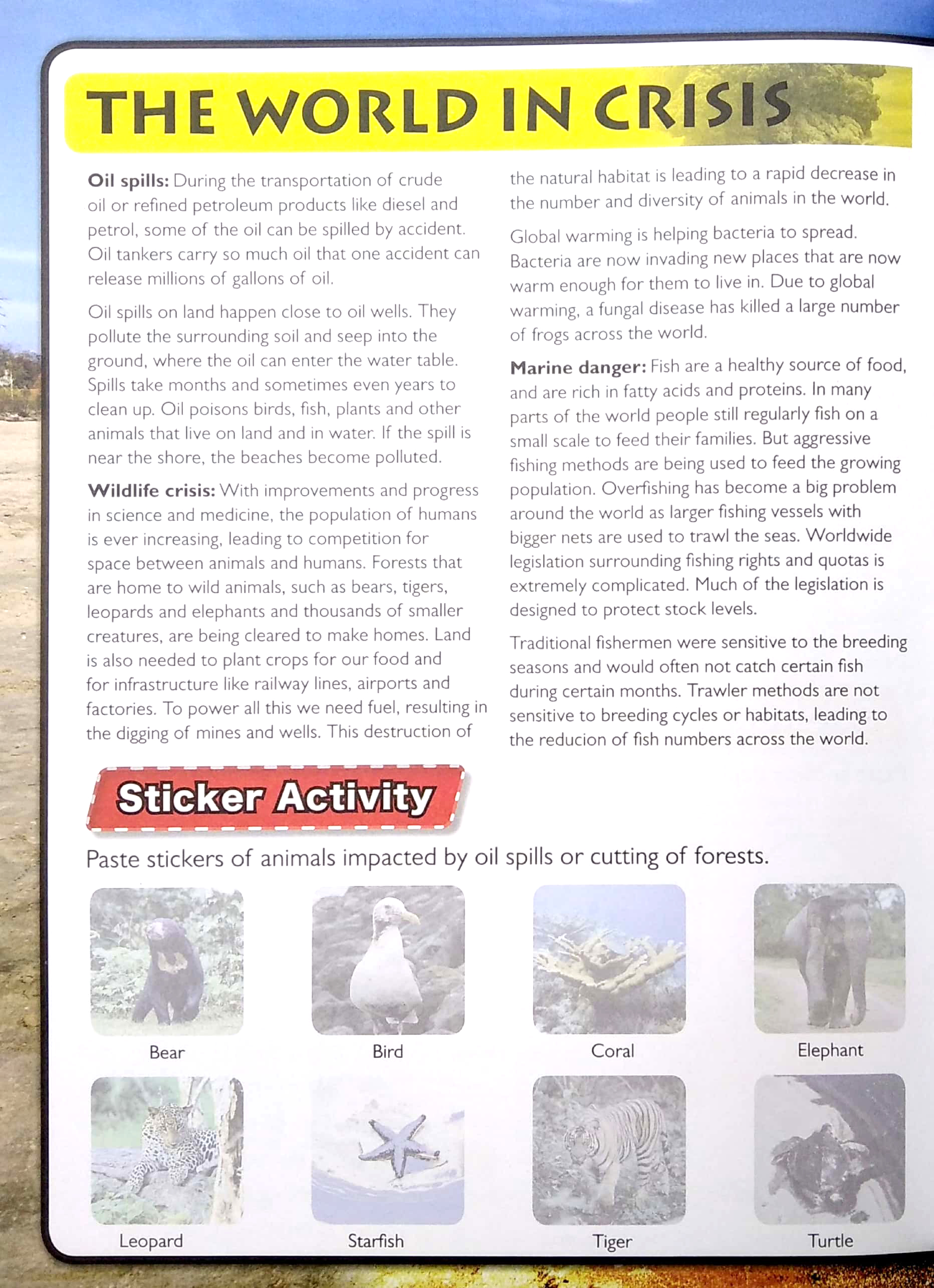 wonders of learning - sticker book - saving planet earth - Ảnh 5
