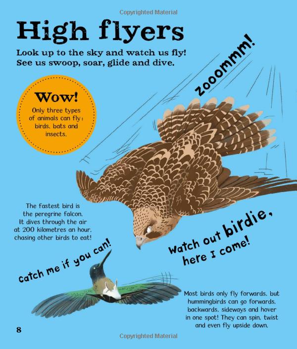 wow! birds - Ảnh 10