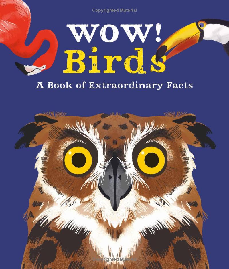 wow! look what birds can do! - Ảnh 2
