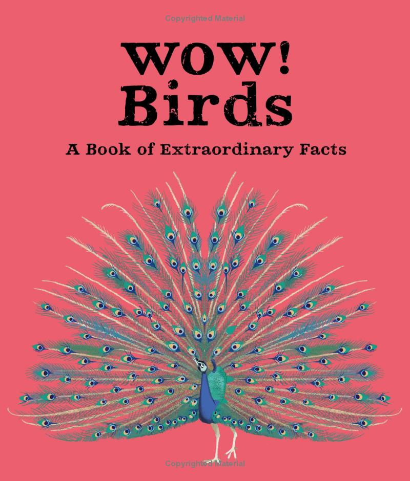 wow! look what birds can do! - Ảnh 3