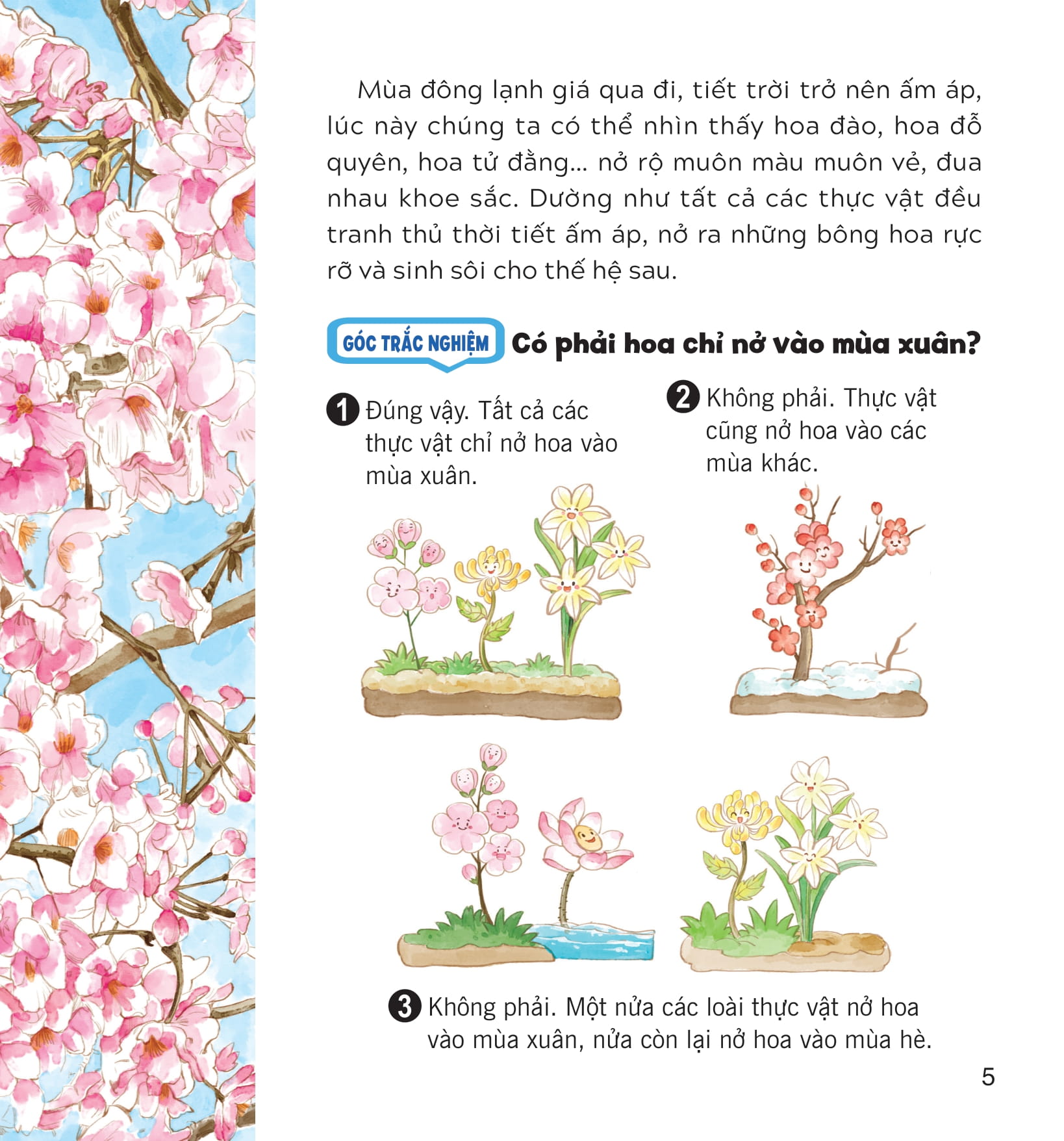 wow, thì ra là thế! - bí mật nhỏ của thực vật - Ảnh 11