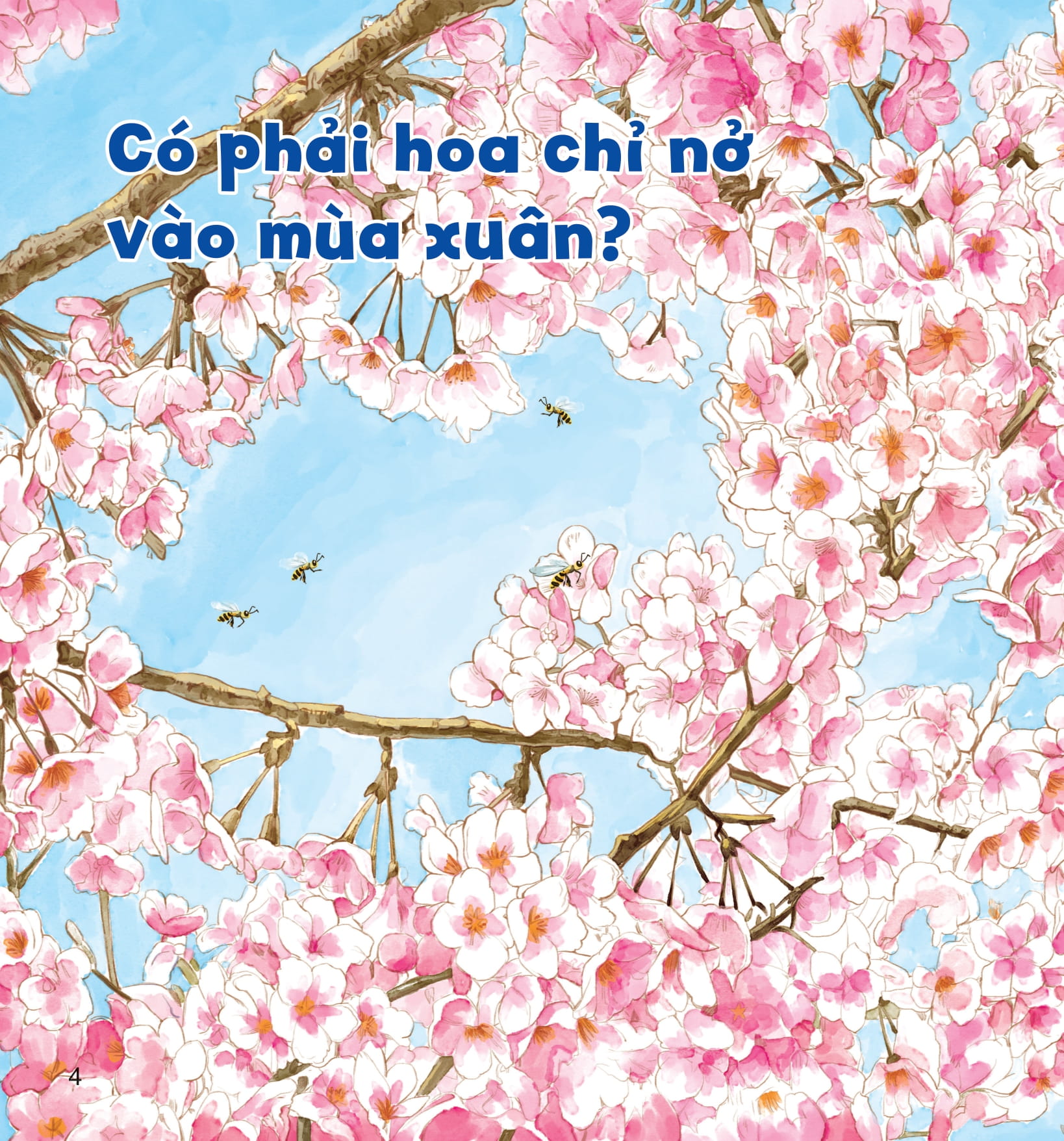 wow, thì ra là thế! - bí mật nhỏ của thực vật - Ảnh 8
