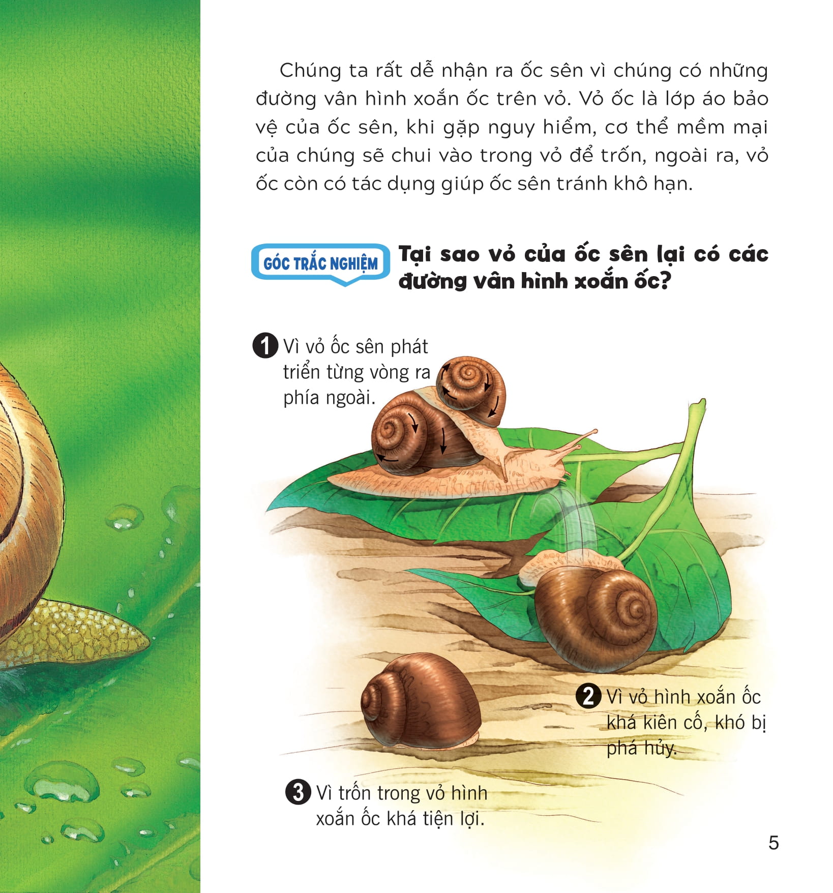 wow, thì ra là thế! - cơ thể của động vật - Ảnh 11