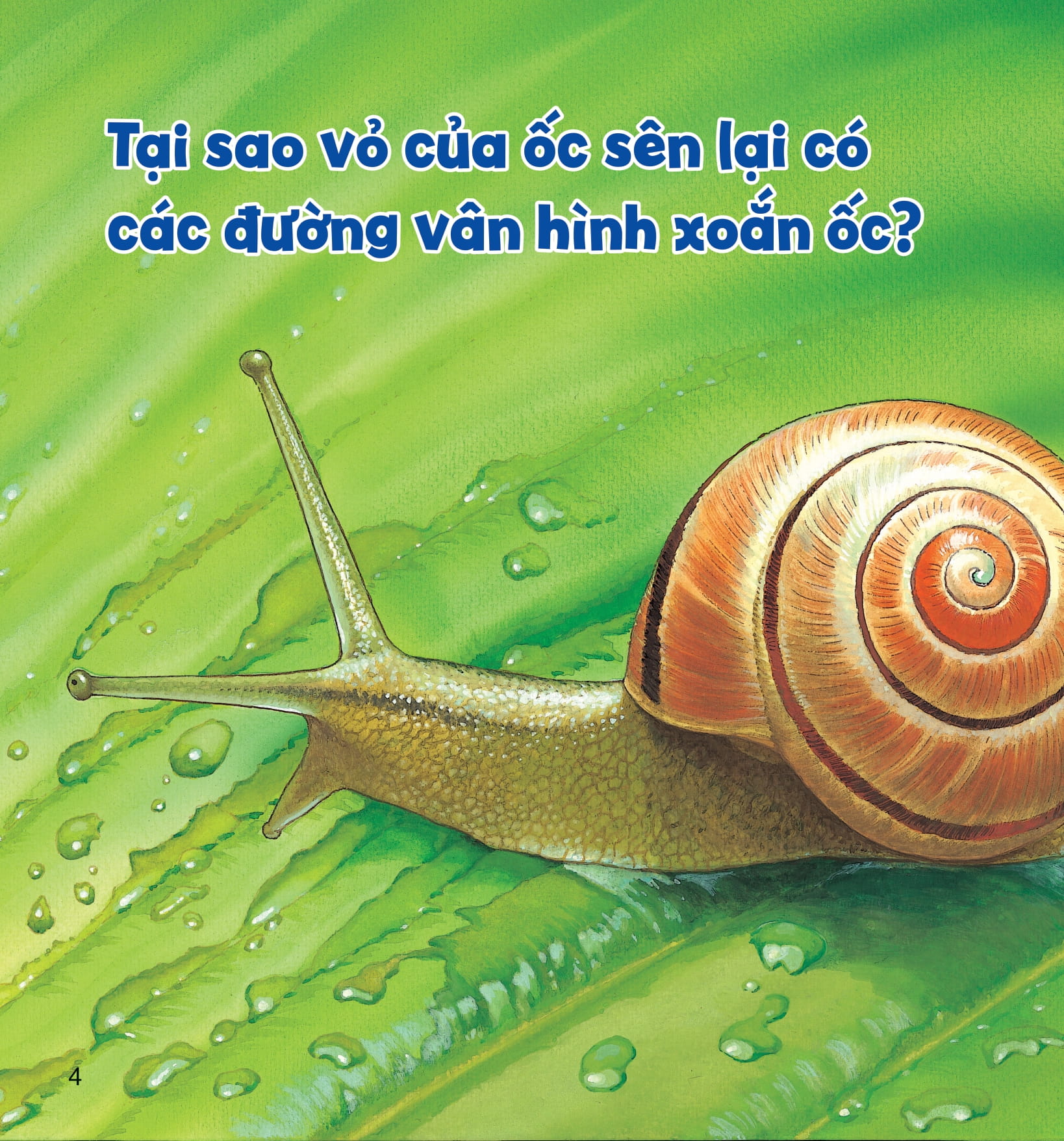wow, thì ra là thế! - cơ thể của động vật - Ảnh 8
