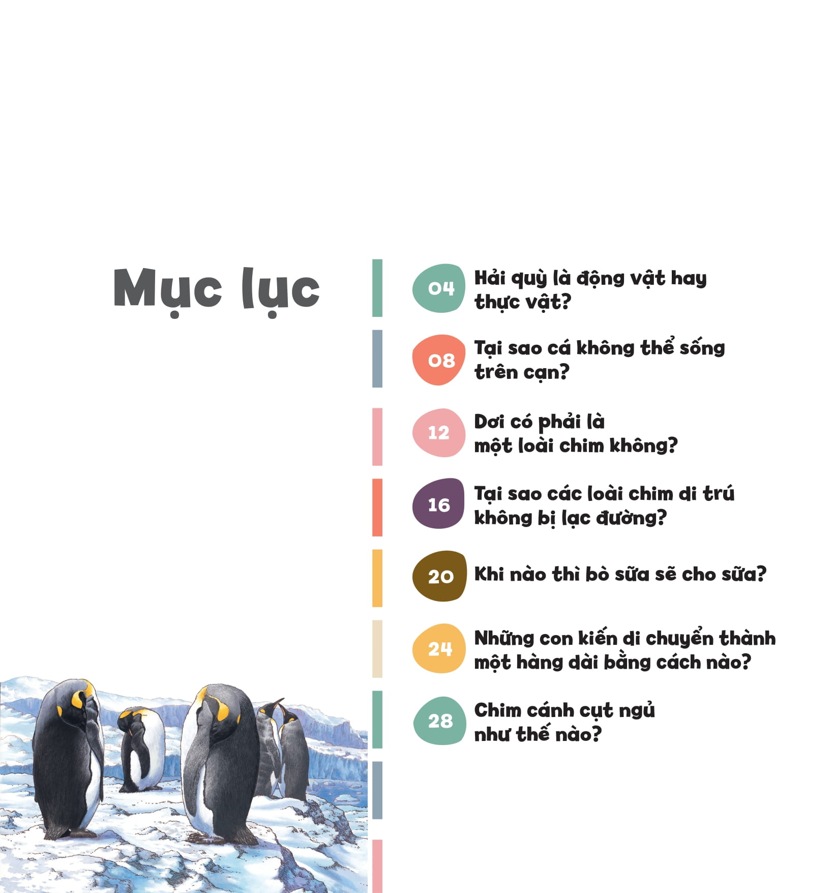 wow, thì ra là thế! - kiến thức ít ai biết về động vật - Ảnh 4