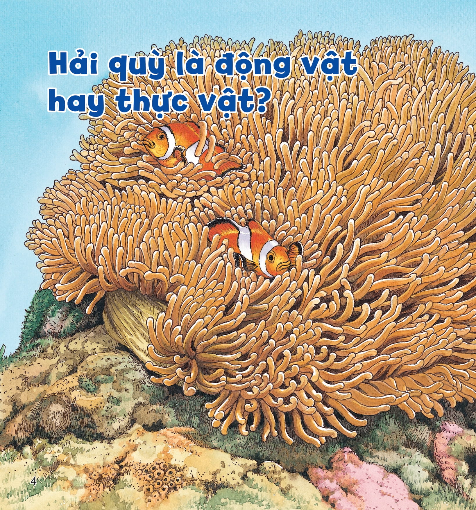 wow, thì ra là thế! - kiến thức ít ai biết về động vật - Ảnh 8
