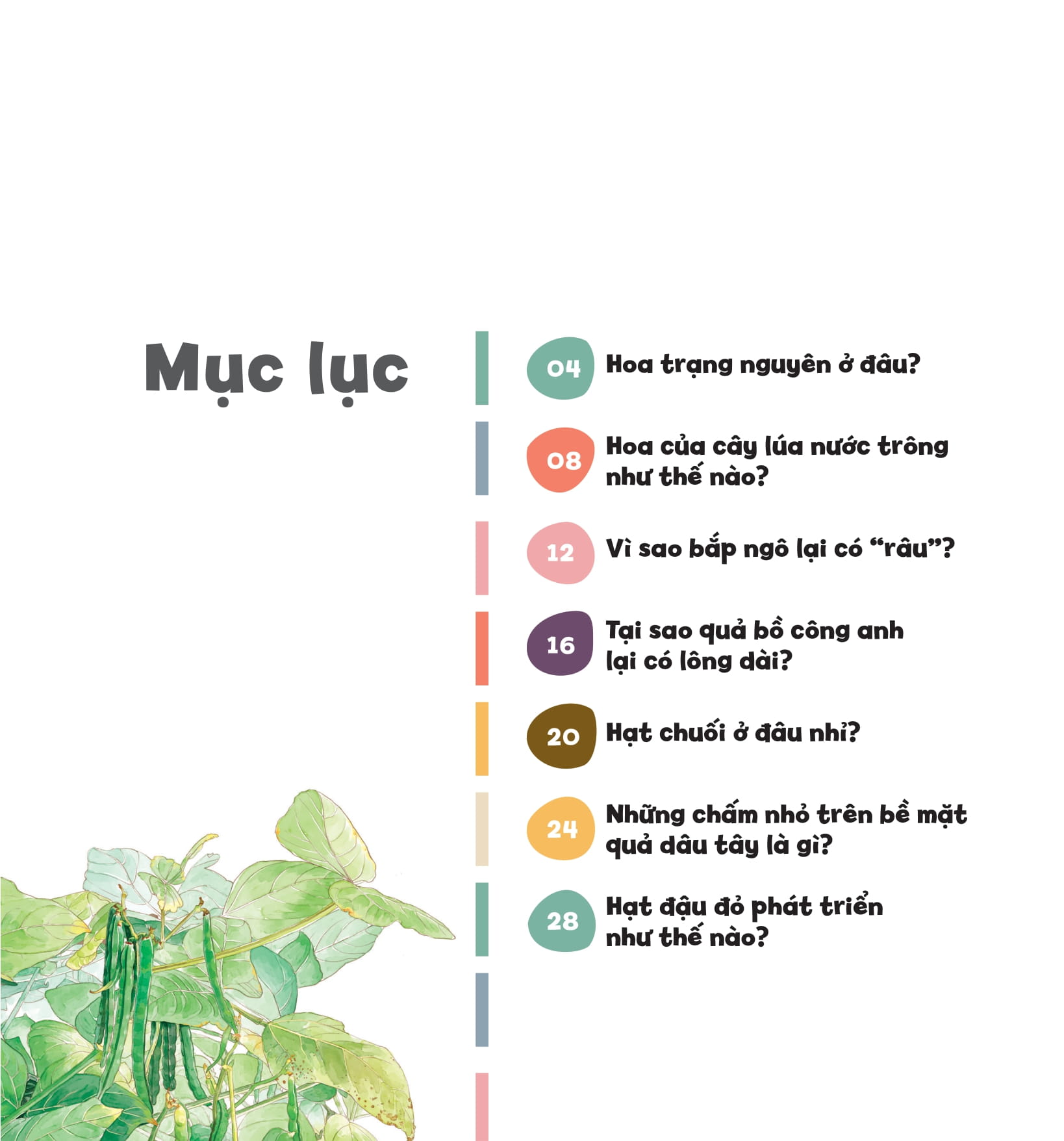 wow, thì ra là thế! - sự sinh trưởng của thực vật - Ảnh 4