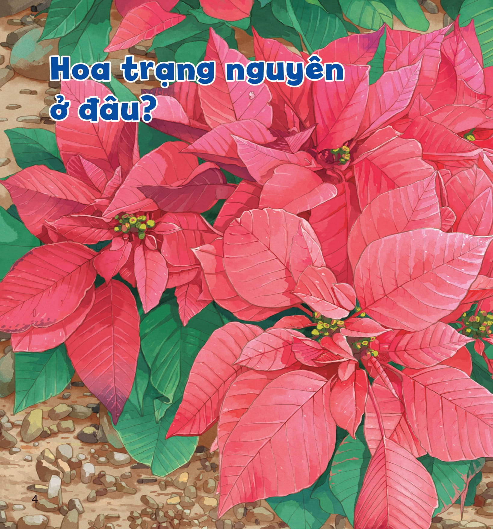 wow, thì ra là thế! - sự sinh trưởng của thực vật - Ảnh 8