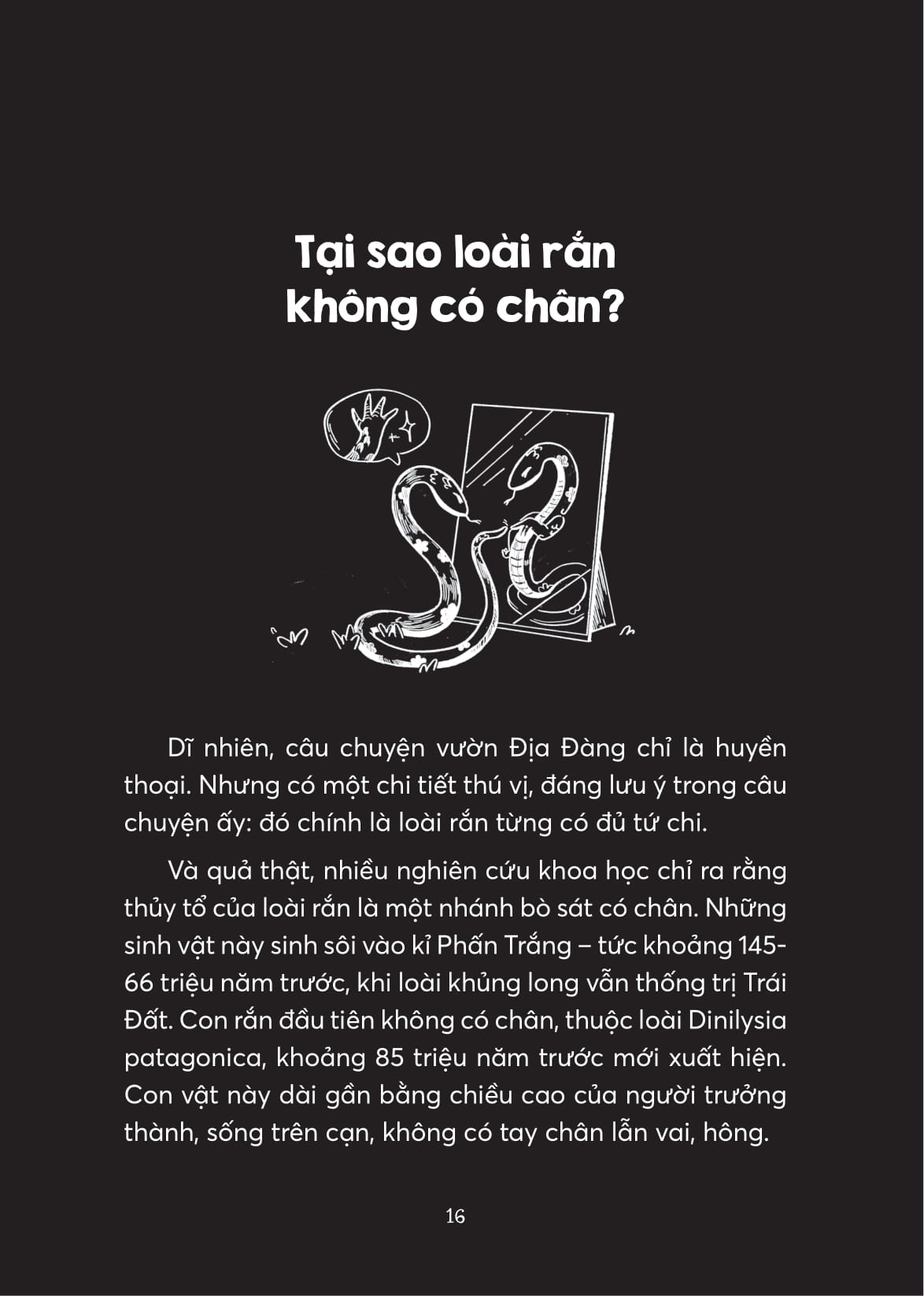 xà điển - muôn chuyện về loài rắn - Ảnh 8