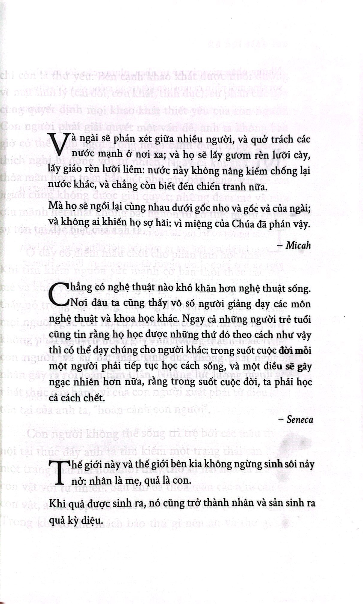 xã hội tỉnh táo - Ảnh 5