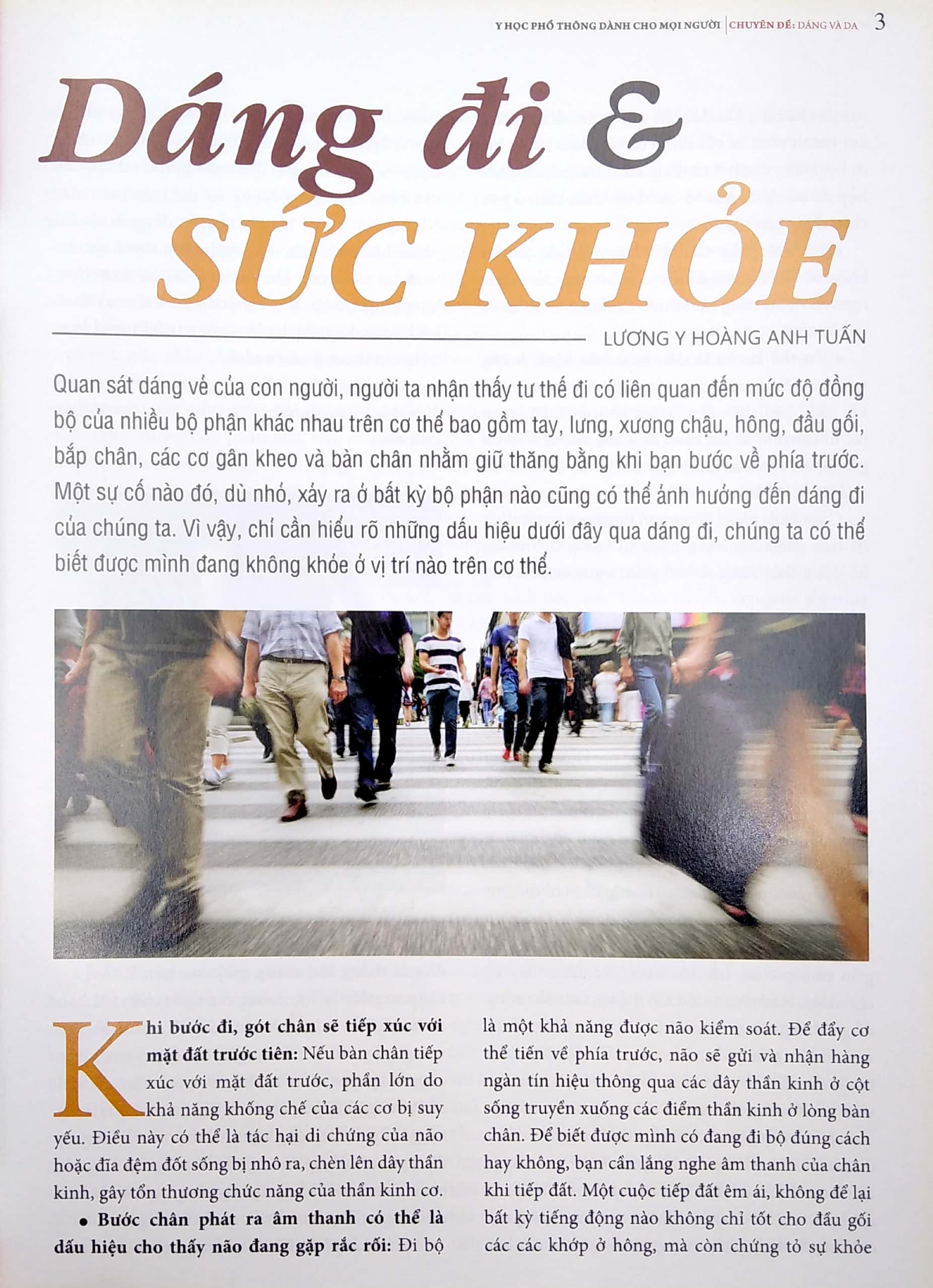 y học phổ thông dành cho mọi người - chuyên đề: dáng và da - Ảnh 3