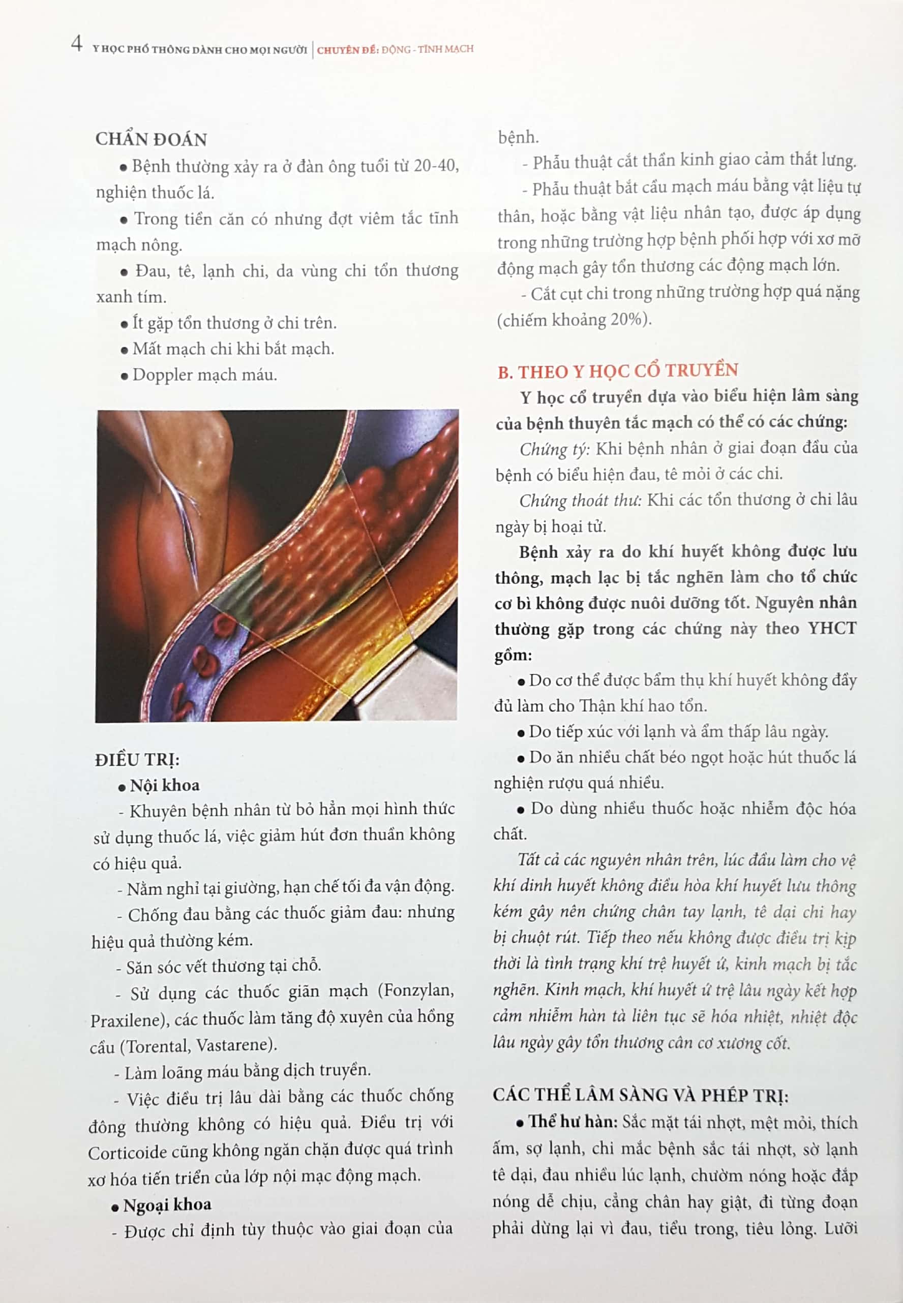 y học phổ thông dành cho mọi người - chuyên đề: động - tĩnh mạch - Ảnh 4