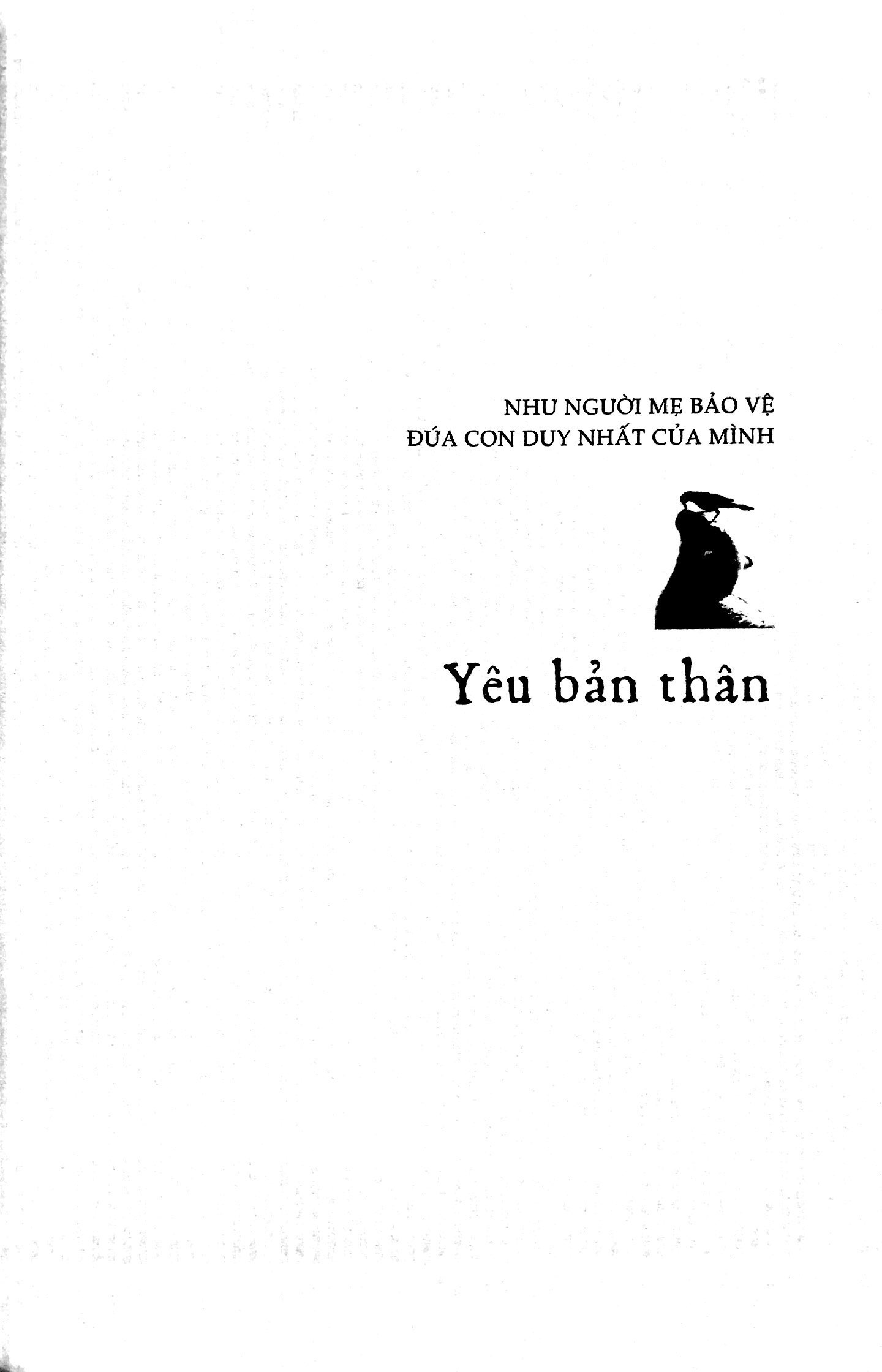 yêu những điều không hoàn hảo - Ảnh 14