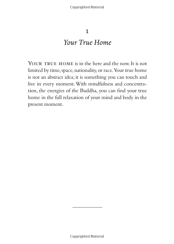 your true home: the everyday wisdom of thich nhat hanh - Ảnh 13