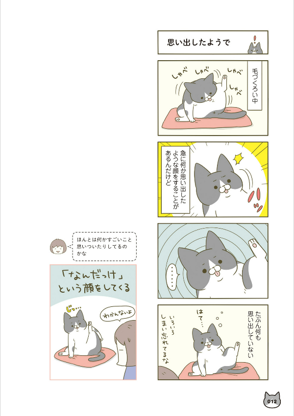 うちの猫がまた変なことしてる。- uchi no neko ga mata hen na koto shiteru. 4 - Ảnh 13