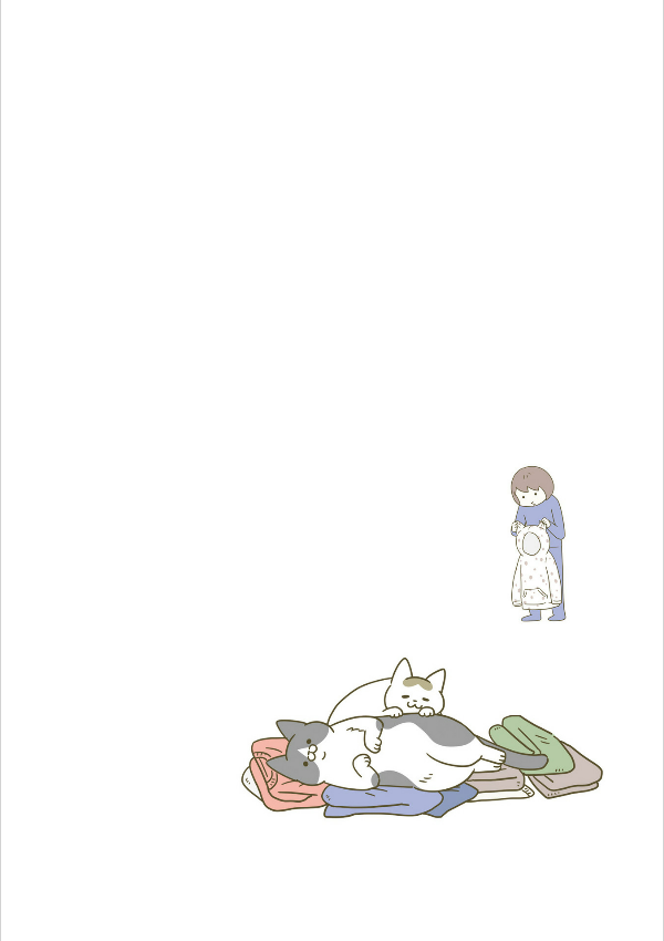 うちの猫がまた変なことしてる。- uchi no neko ga mata hen na koto shiteru. 4 - Ảnh 9