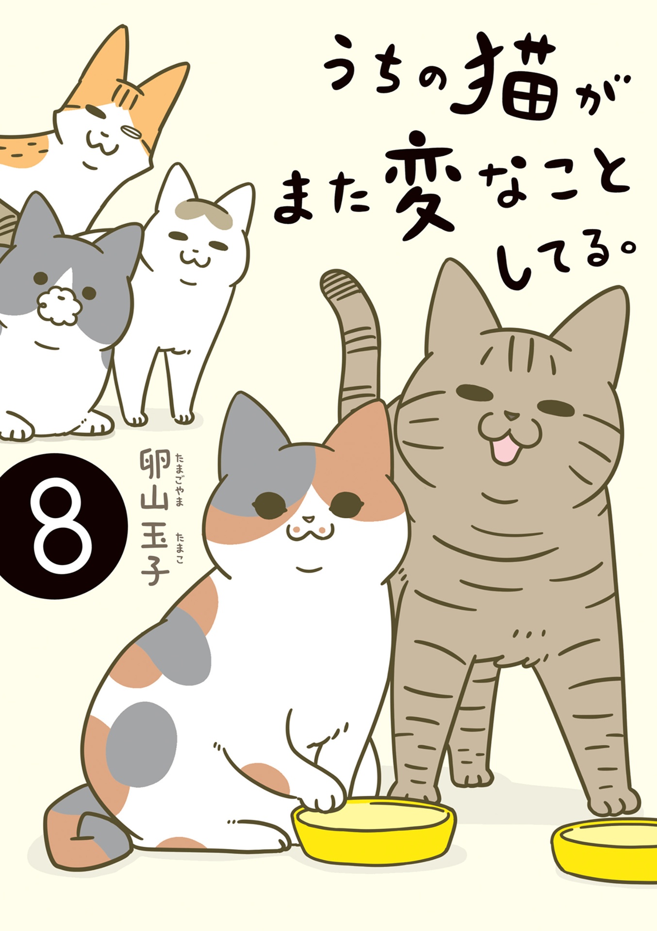 うちの猫がまた変なことしてる。- uchi no neko ga mata hen na koto shiteru. 8 - Ảnh 2