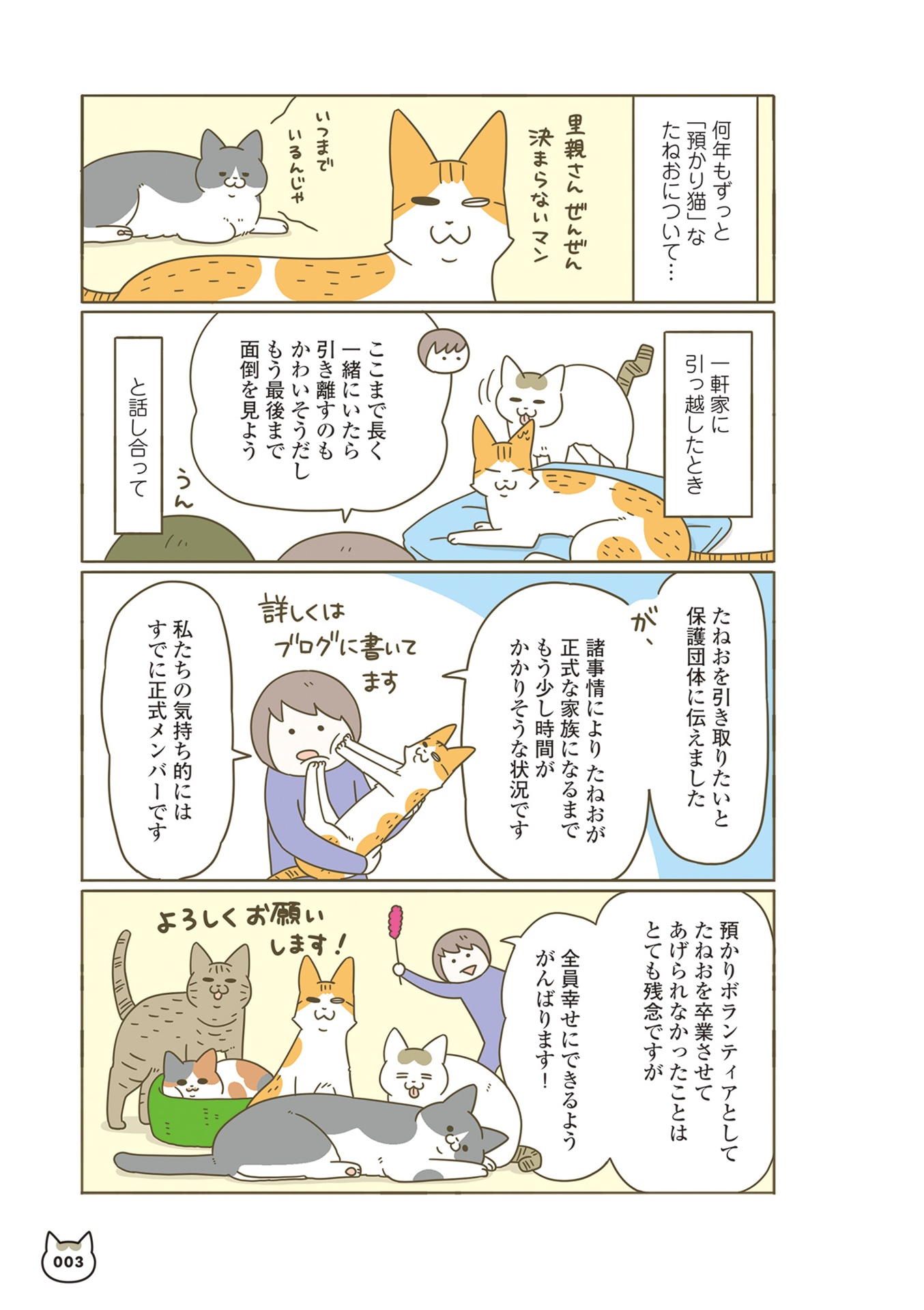 うちの猫がまた変なことしてる。- uchi no neko ga mata hen na koto shiteru. 8 - Ảnh 6